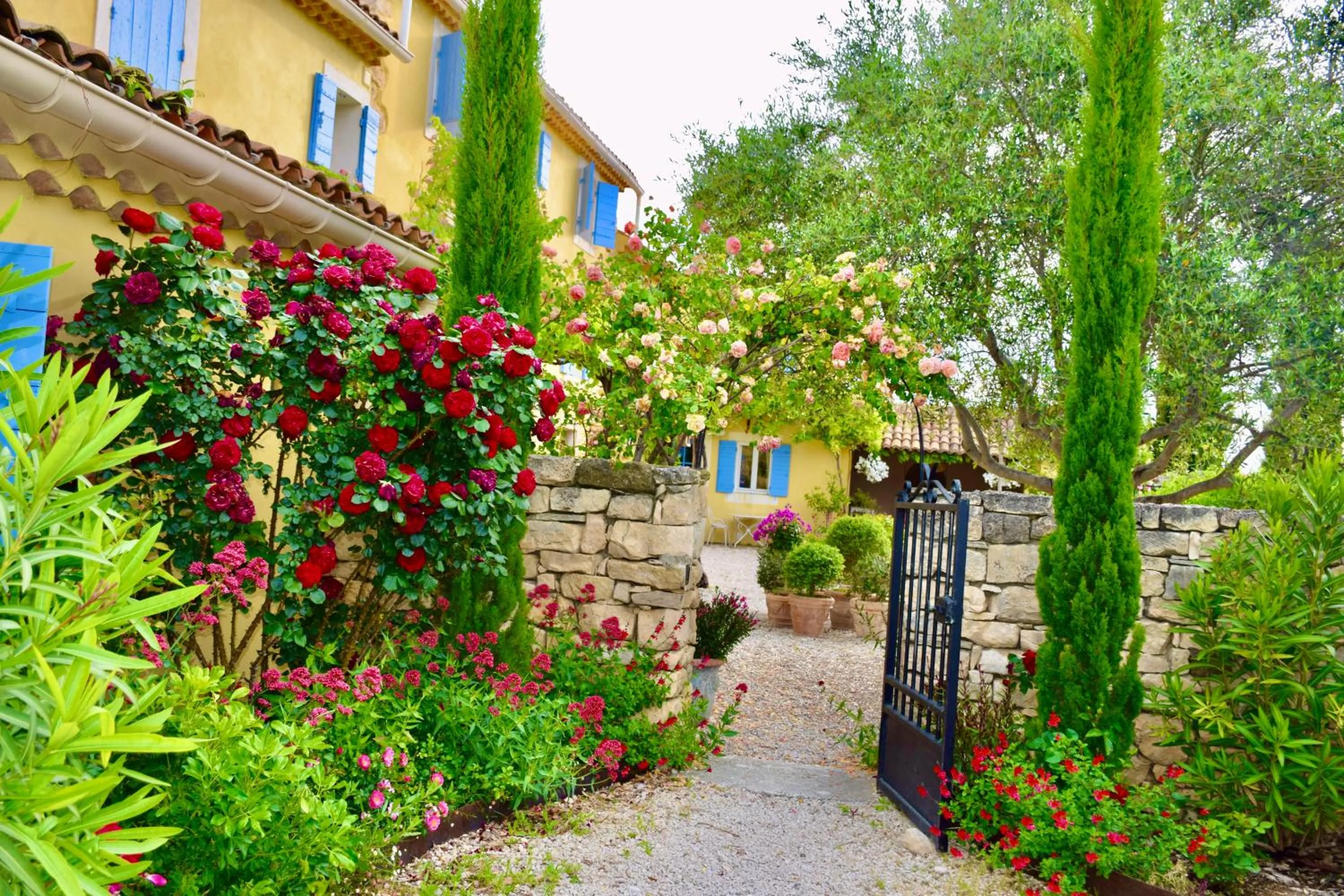 Garden in Bastide Saint-Didier