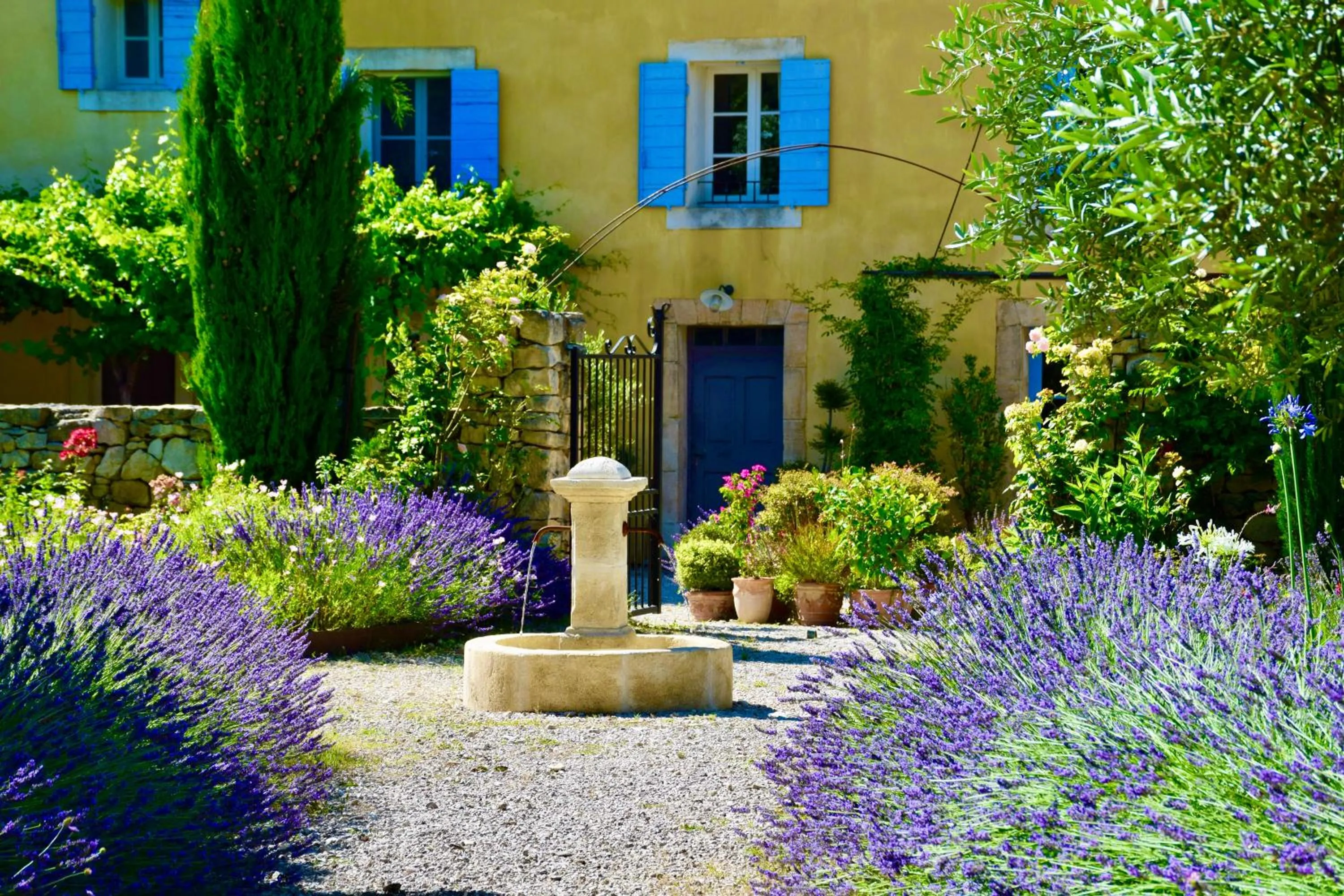 Garden in Bastide Saint-Didier