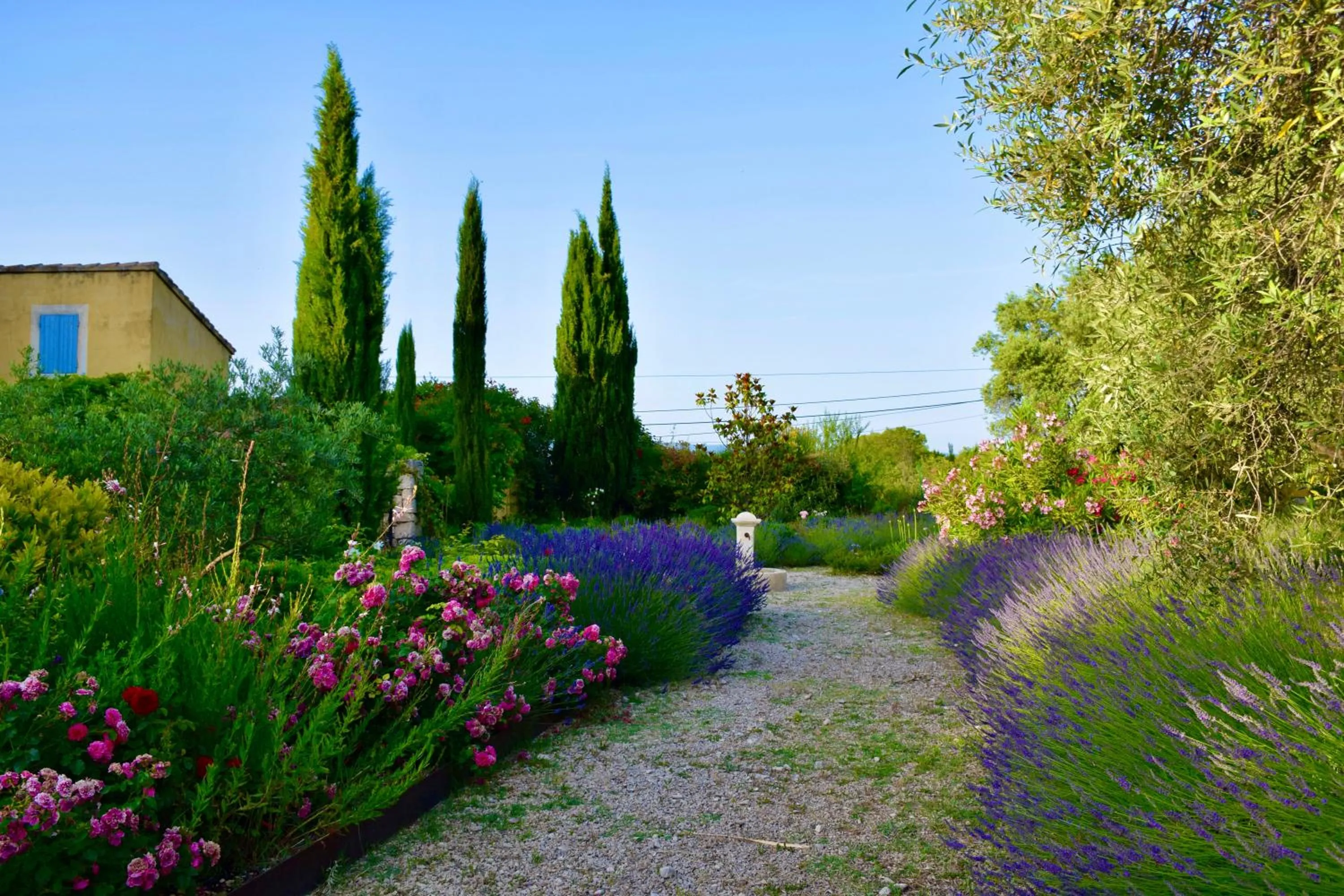 Garden in Bastide Saint-Didier