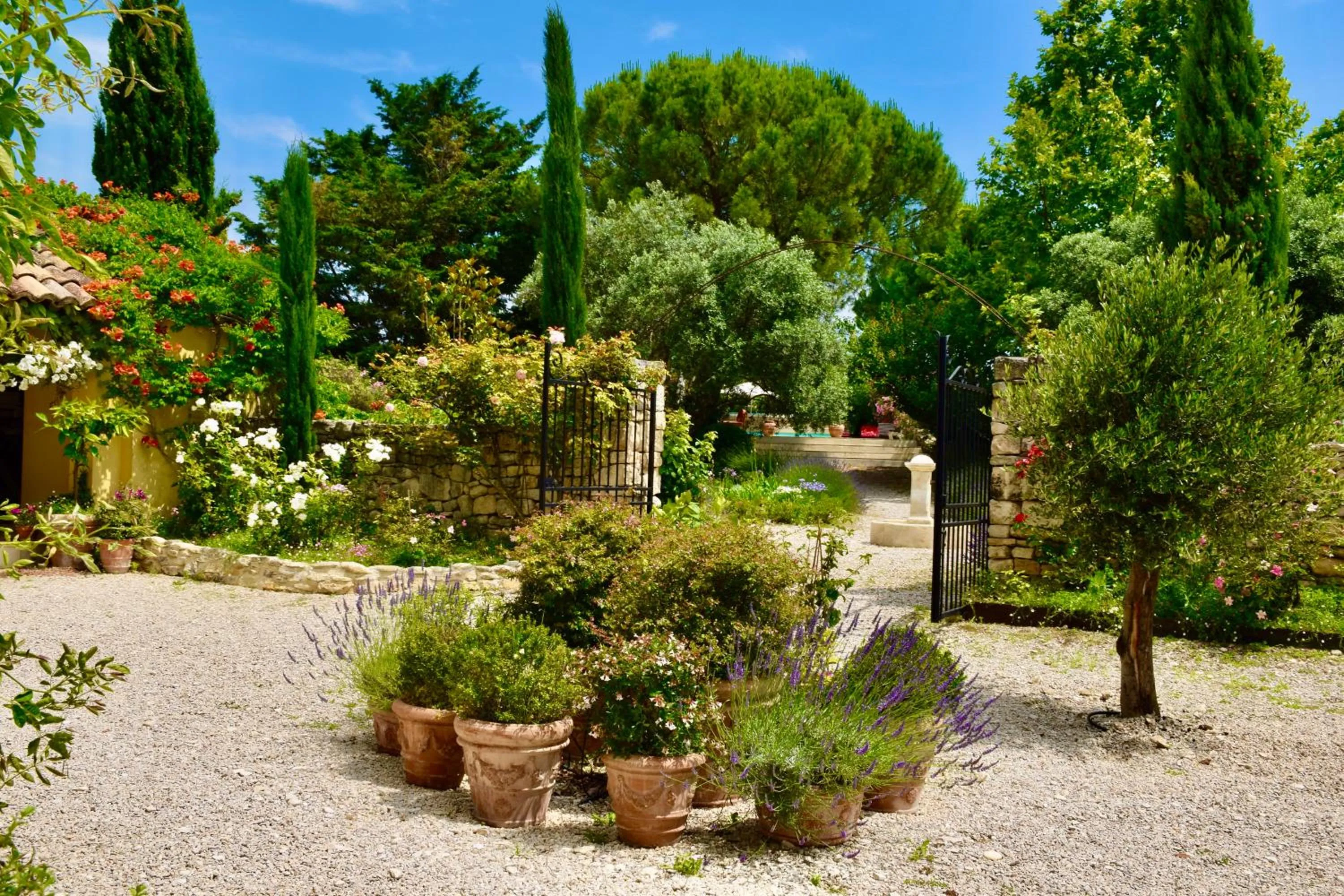 Garden in Bastide Saint-Didier