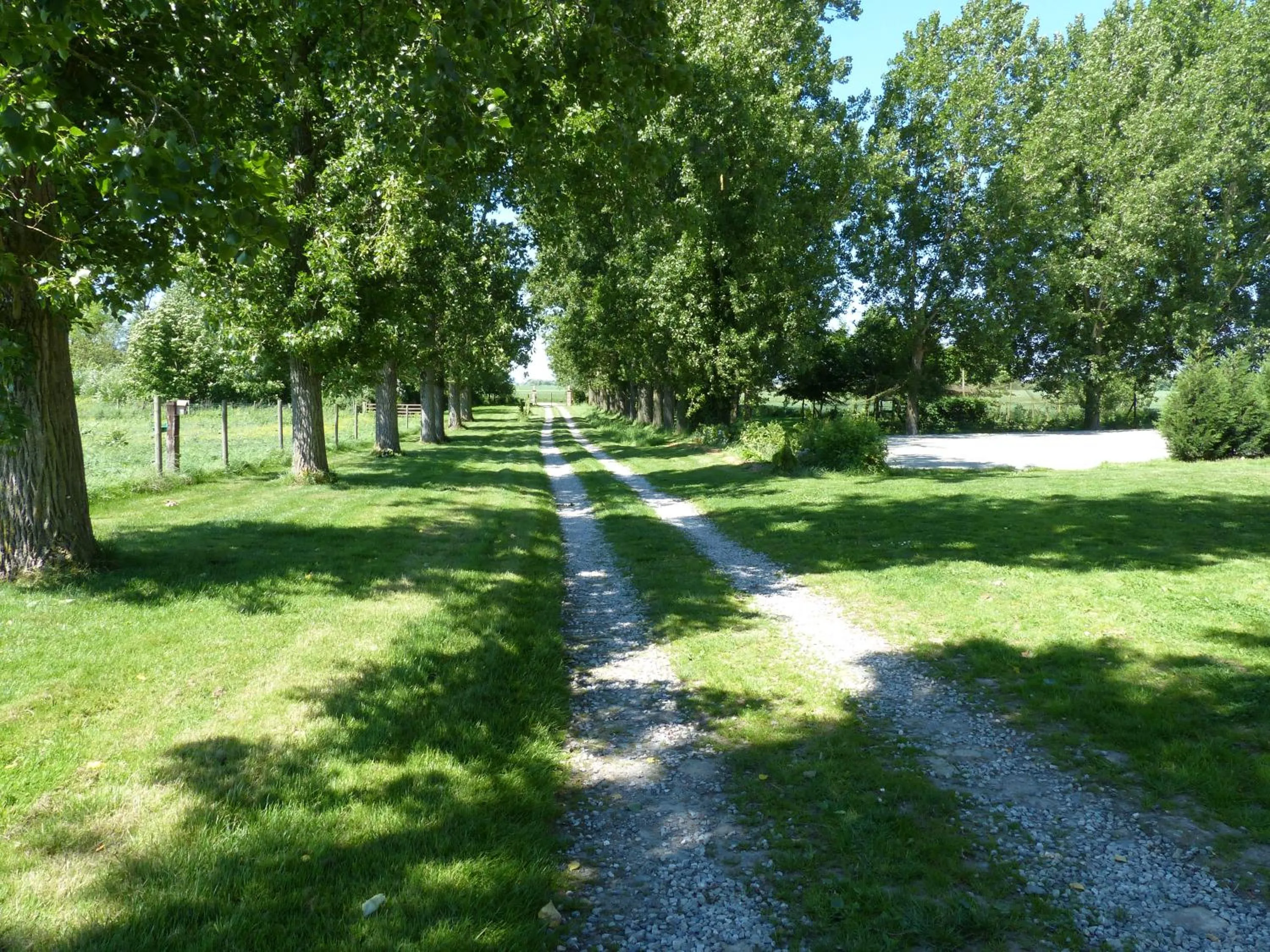 Garden in Paardenhof Guesthouse