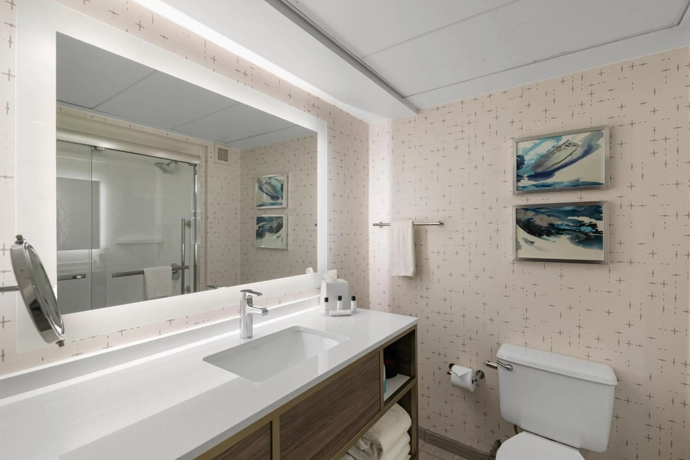 Bathroom in Crowne Plaza Houston Med Ctr-Galleria Area by IHG