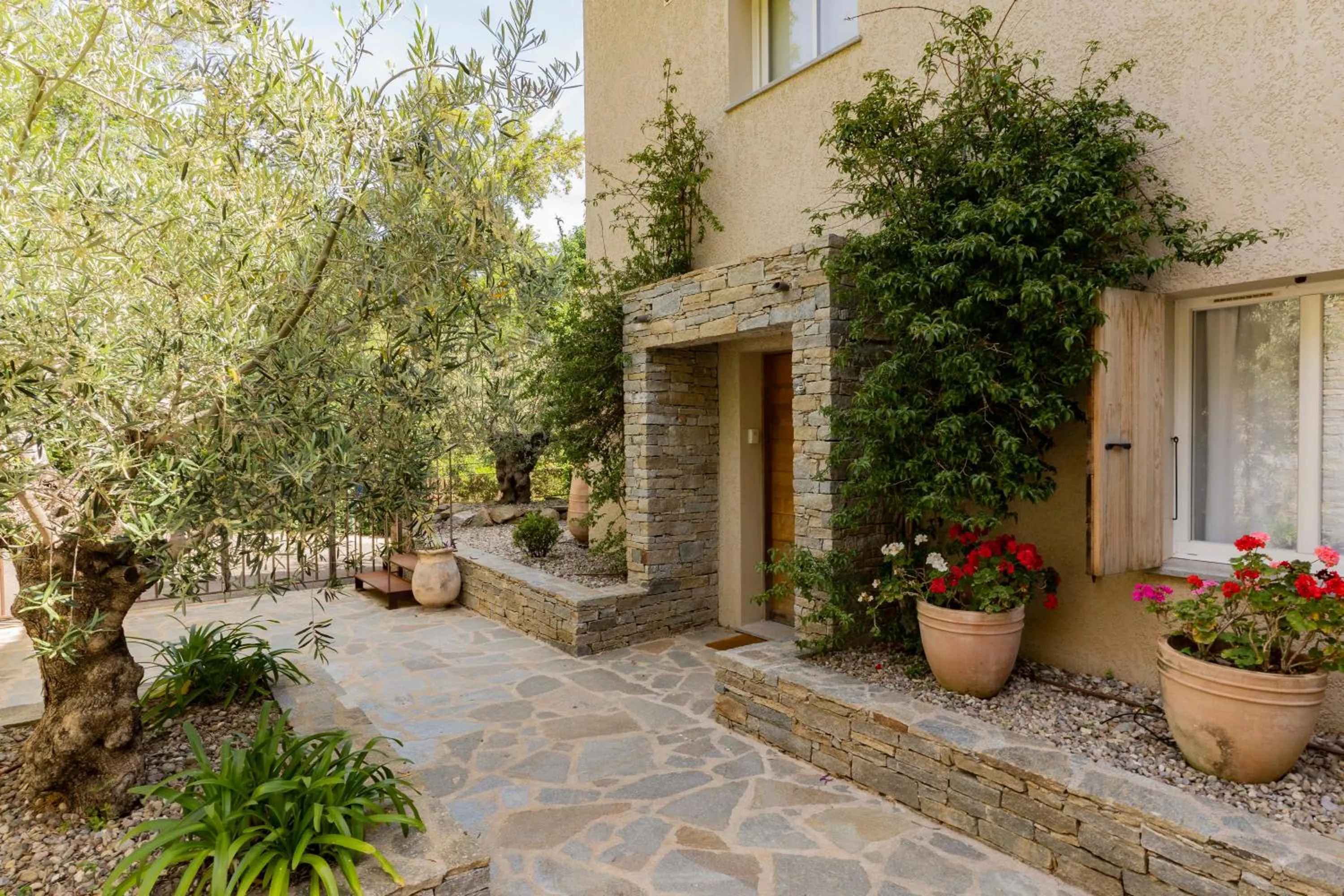 Property building in Suites in Erbalunga