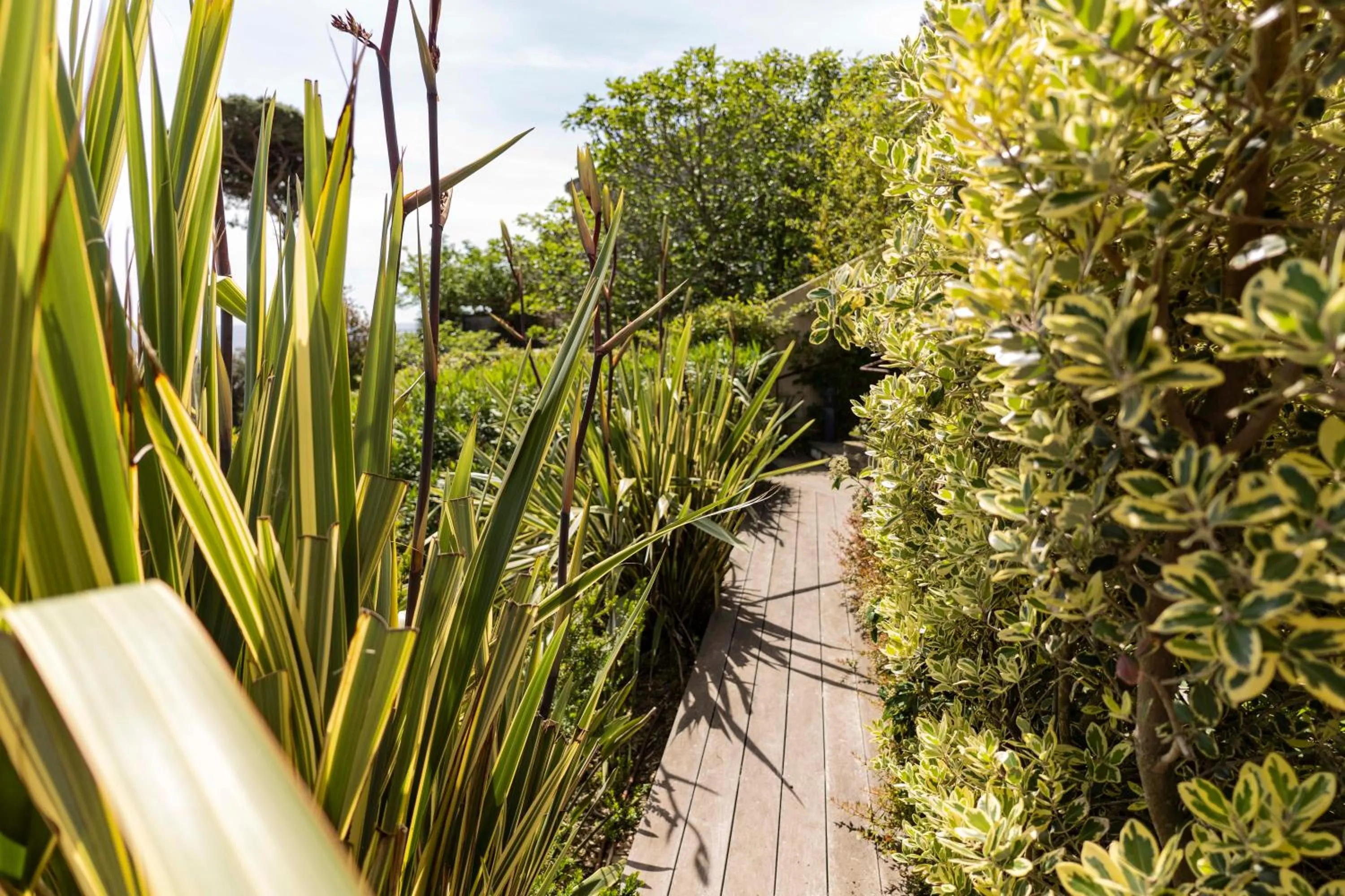 Spring in Suites in Erbalunga