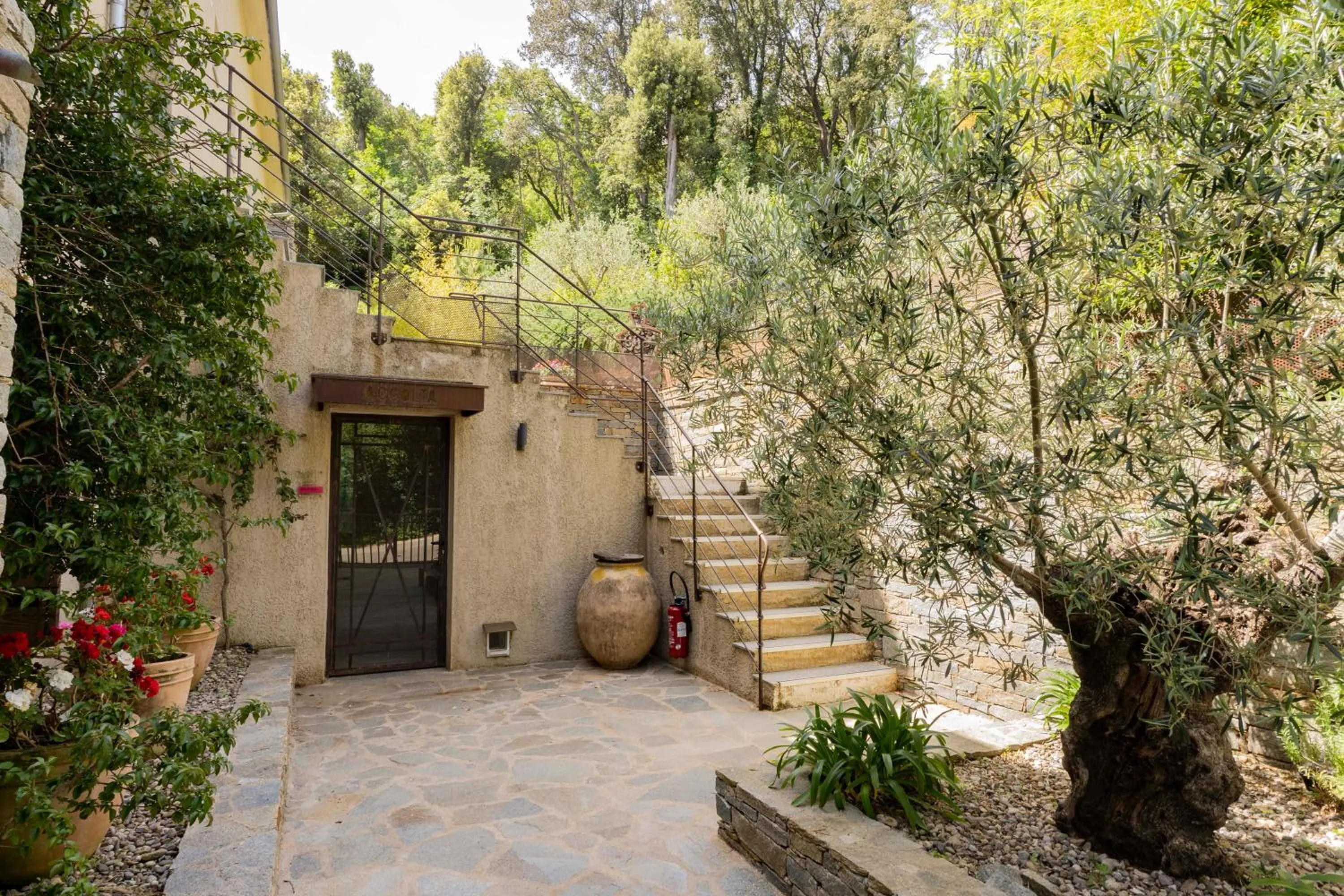 Property building in Suites in Erbalunga