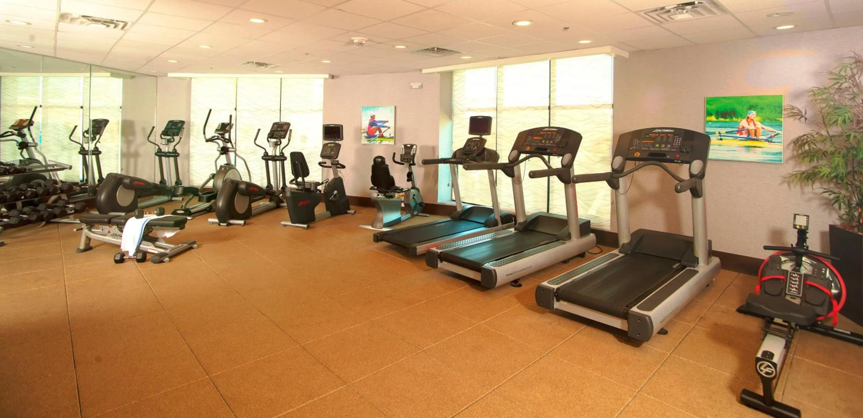 Fitness centre/facilities in Holiday Inn Austin -Town Lake by IHG