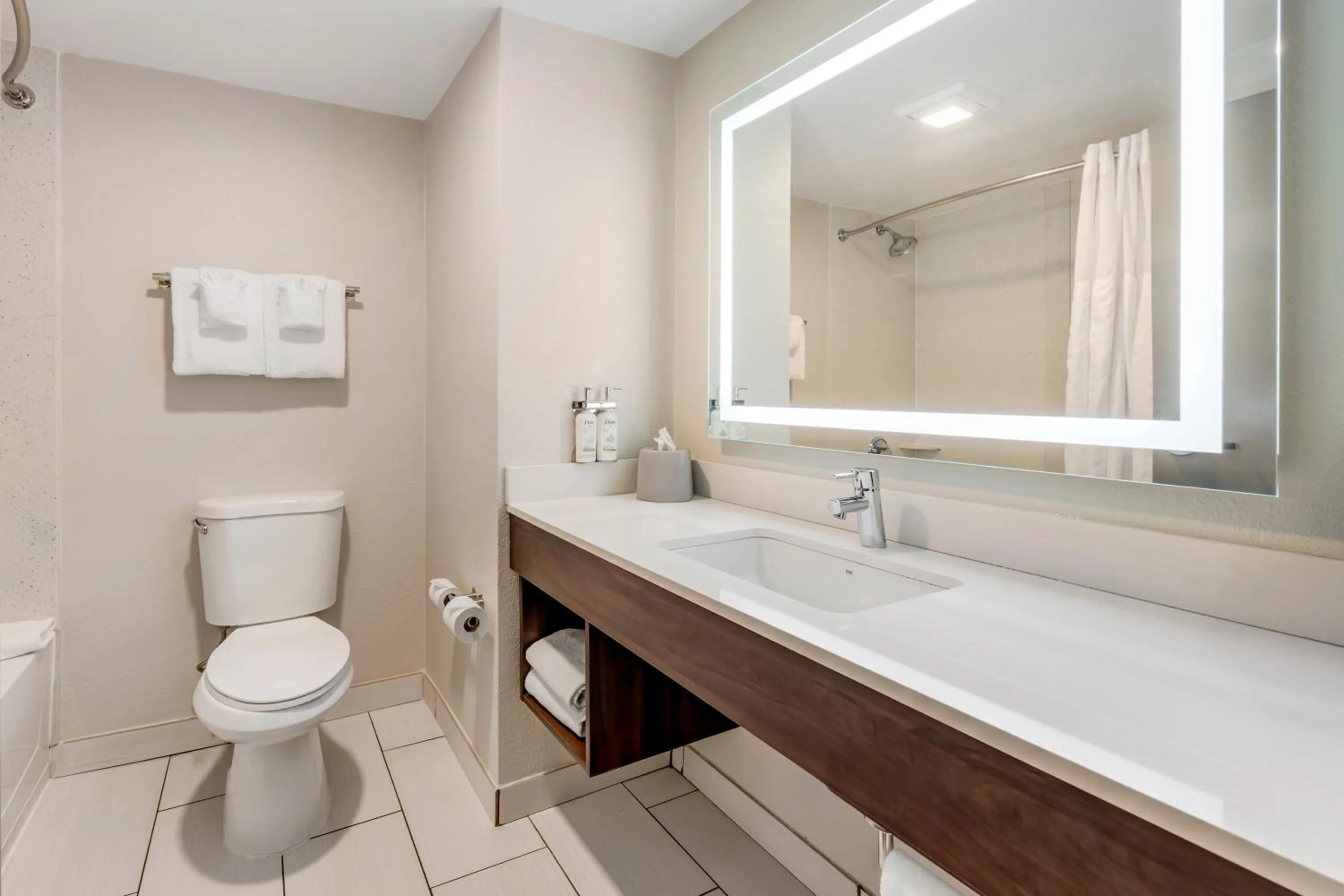 Holiday Inn Express & Suites Nashville Southeast - Antioch by IHG