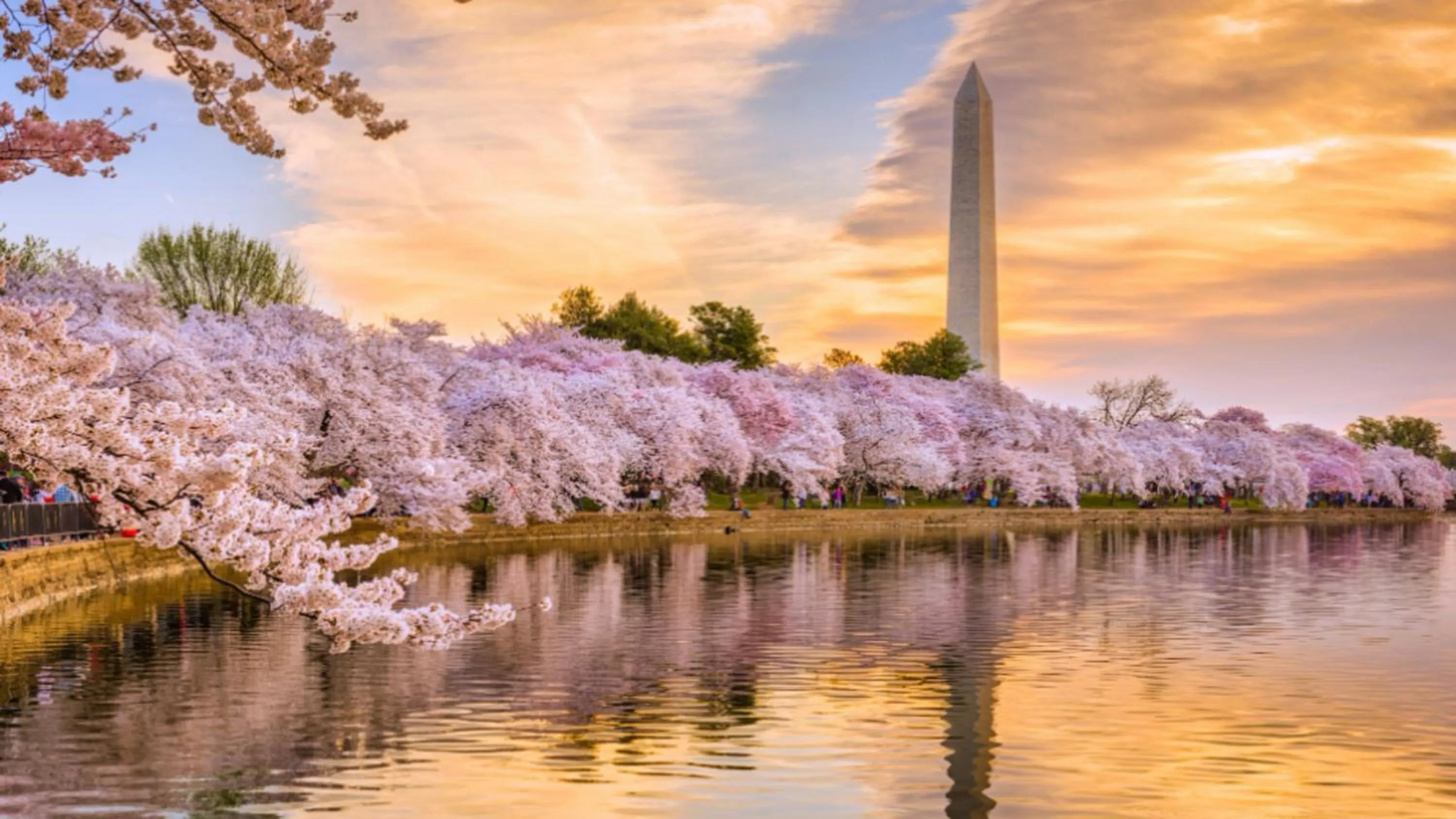 Nearby landmark in Willard InterContinental Washington by IHG