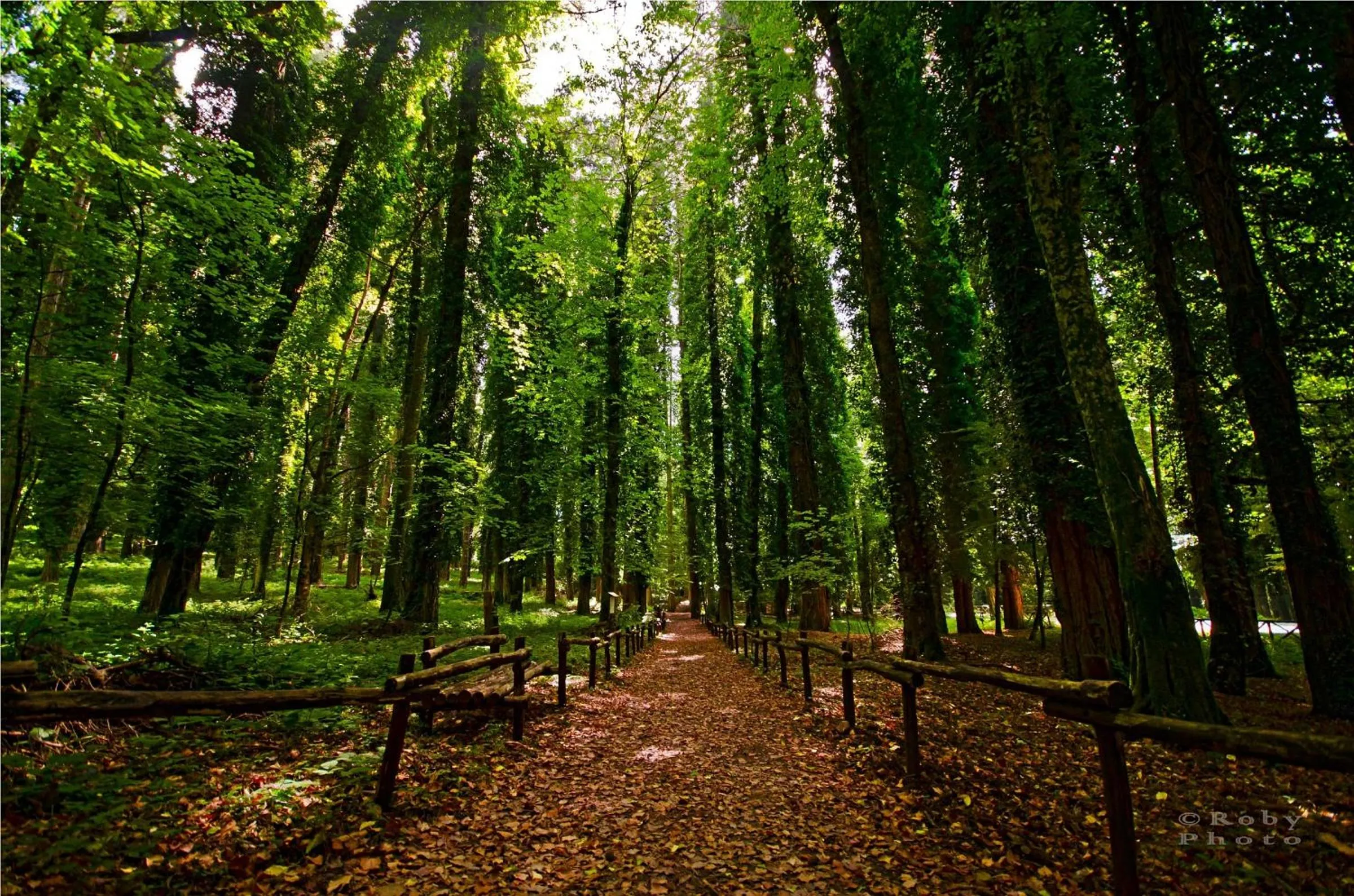 Nearby landmark in GarganoMareBorghi ospitalità diffusa