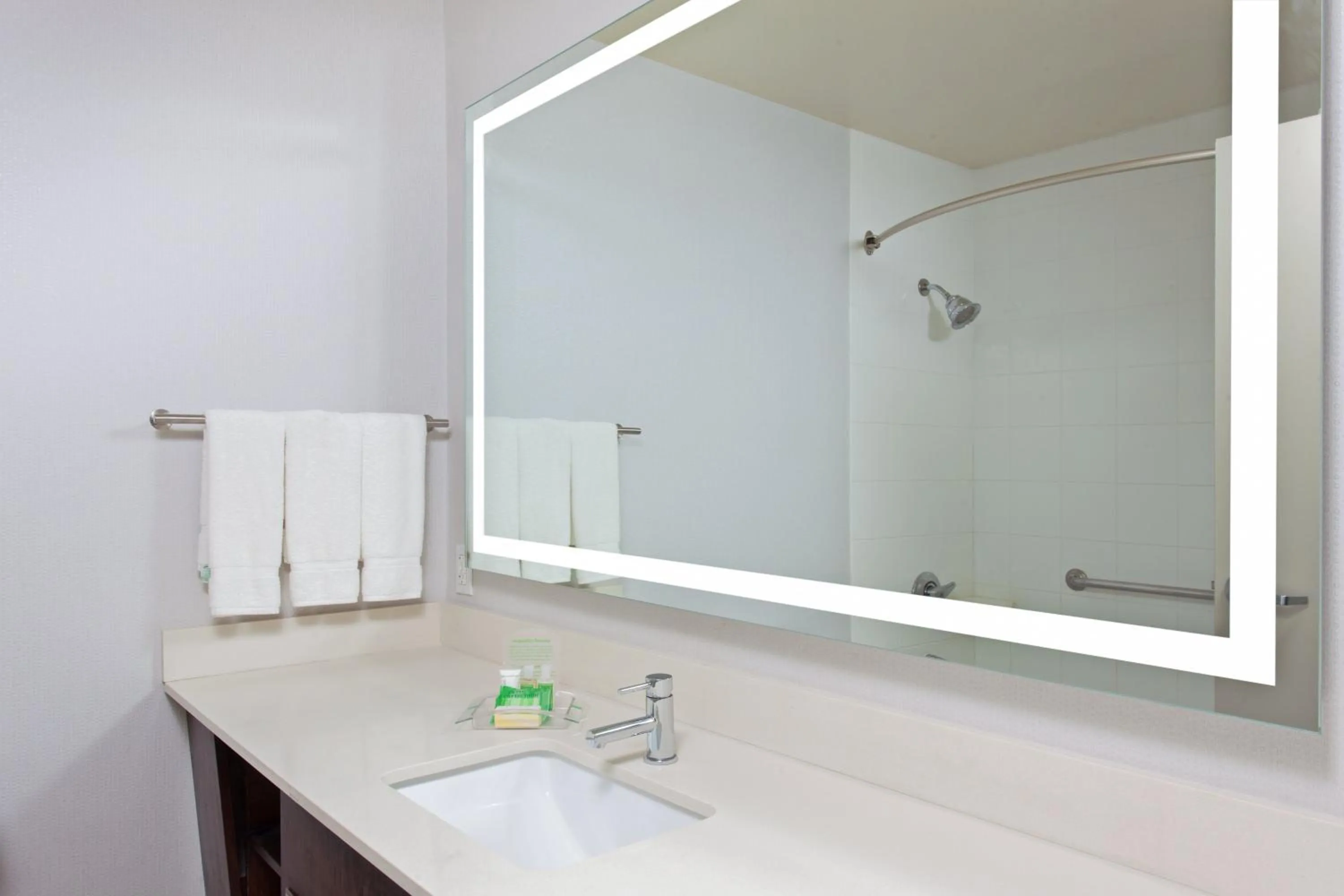 Bathroom in Holiday Inn Los Angeles - LAX Airport by IHG