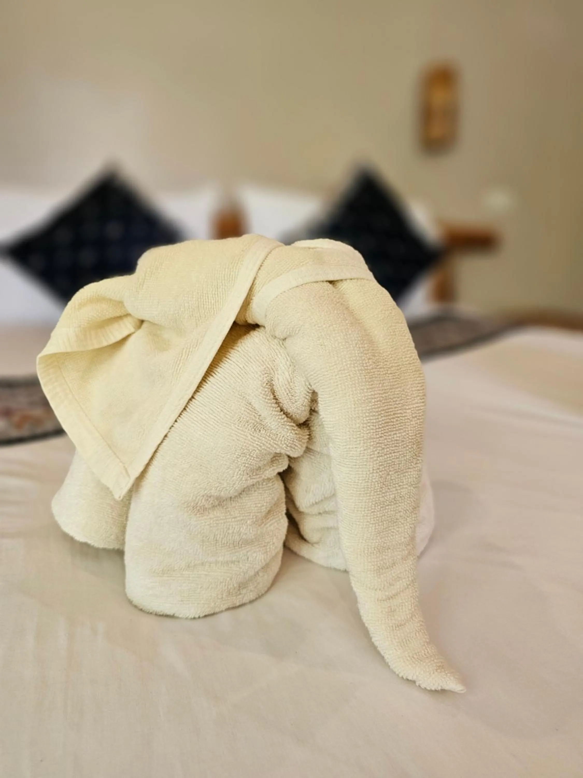 Bed in Bearlinbungalow