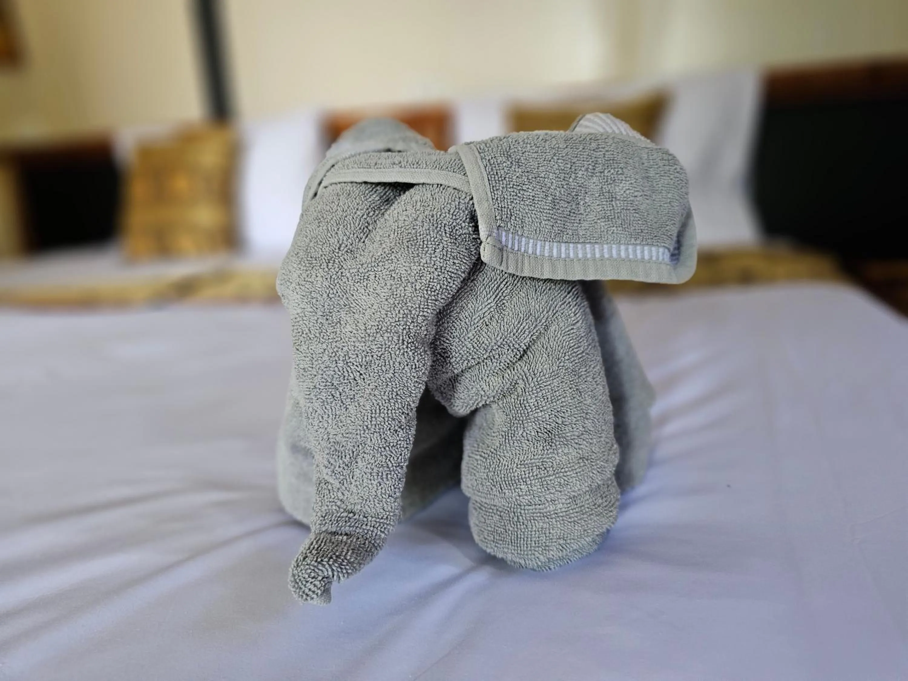 towels, Bed in Bearlinbungalow