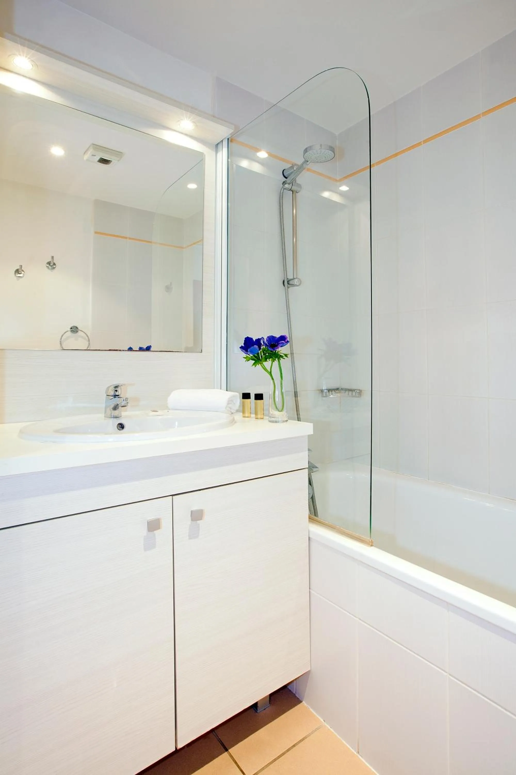 Bathroom in Séjours & Affaires Genève Gex Les Rives Du Léman