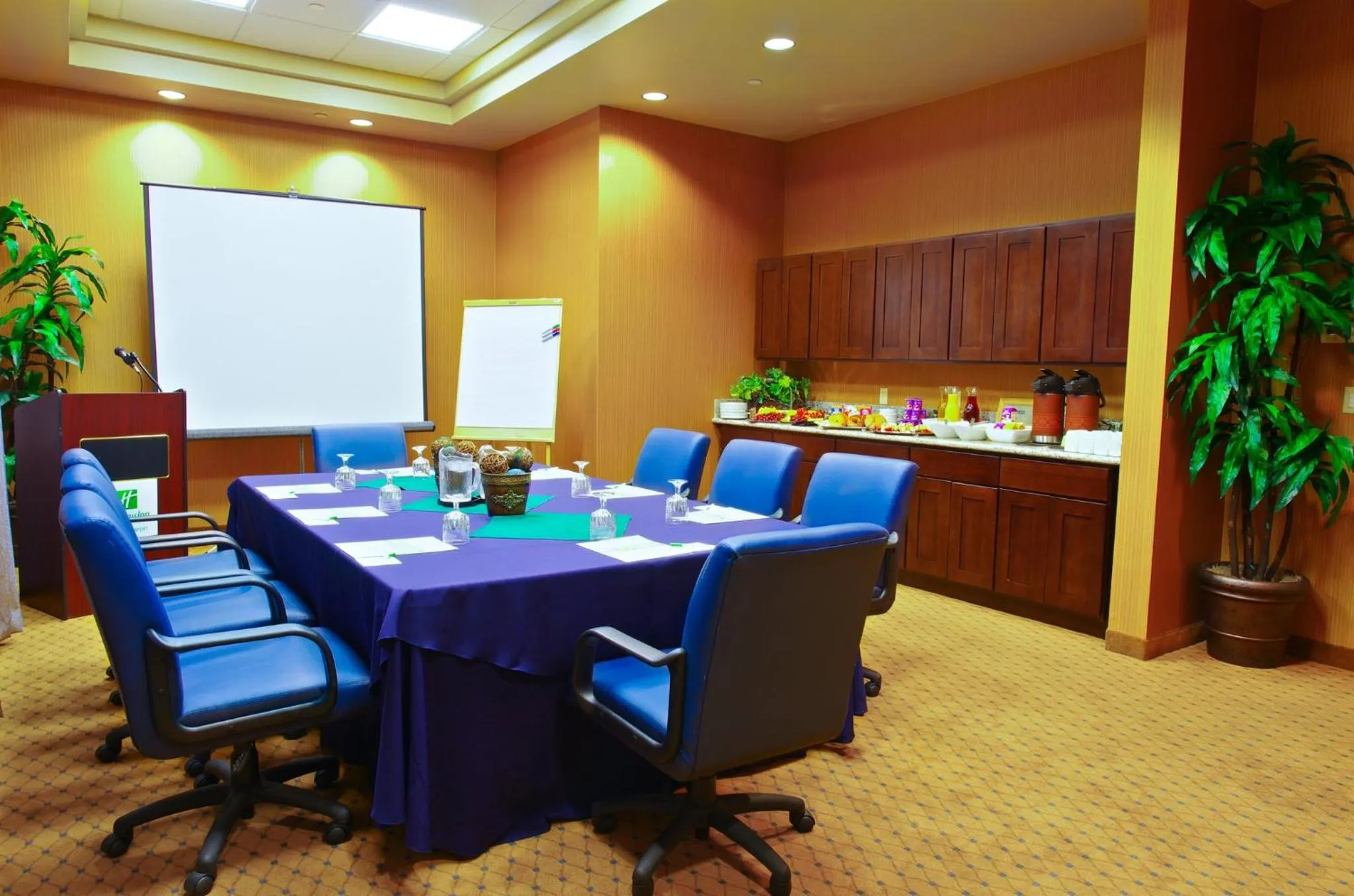 Meeting/conference room in Holiday Inn & Suites Phoenix Airport by IHG