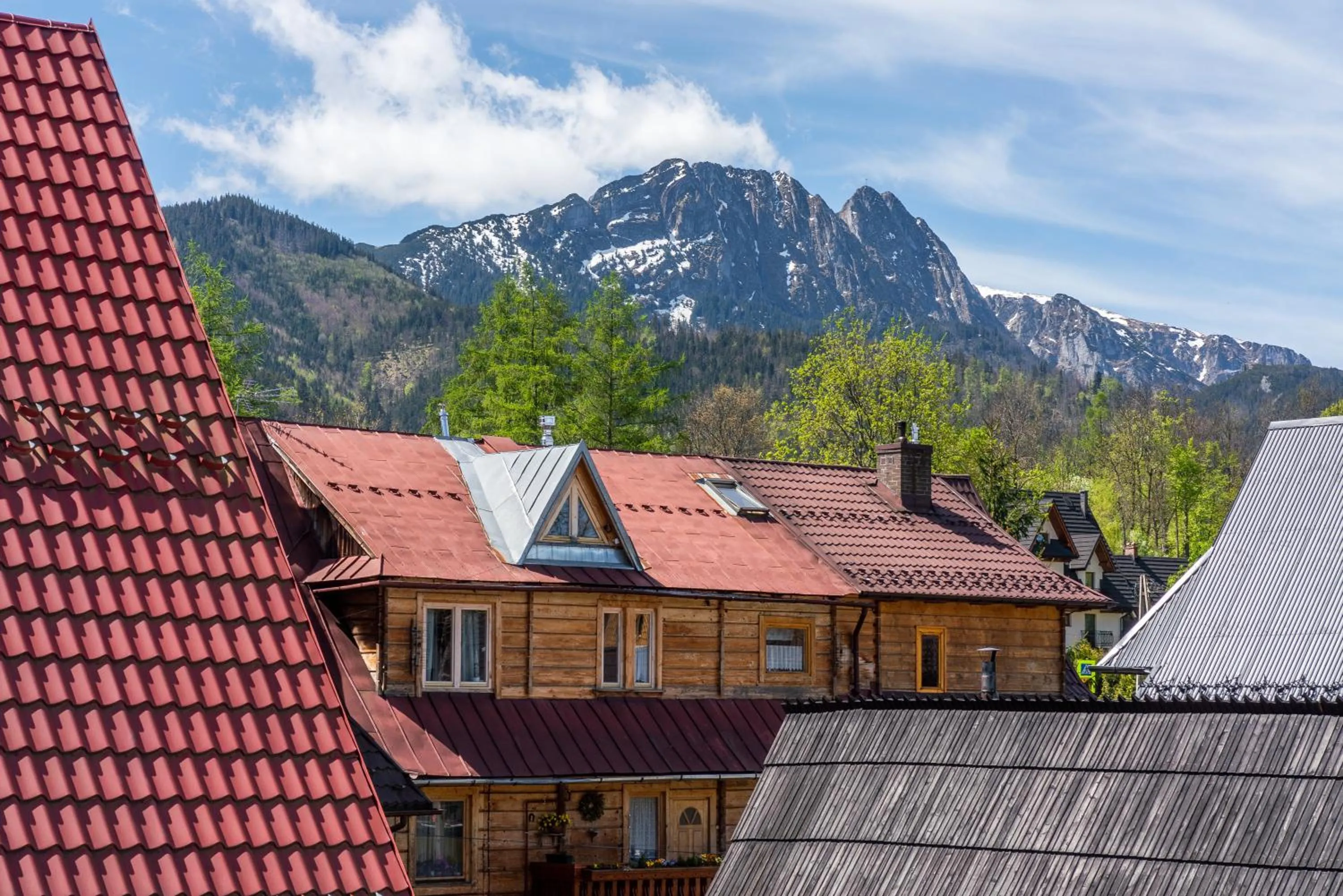 Natural landscape in Willa Majerczyk