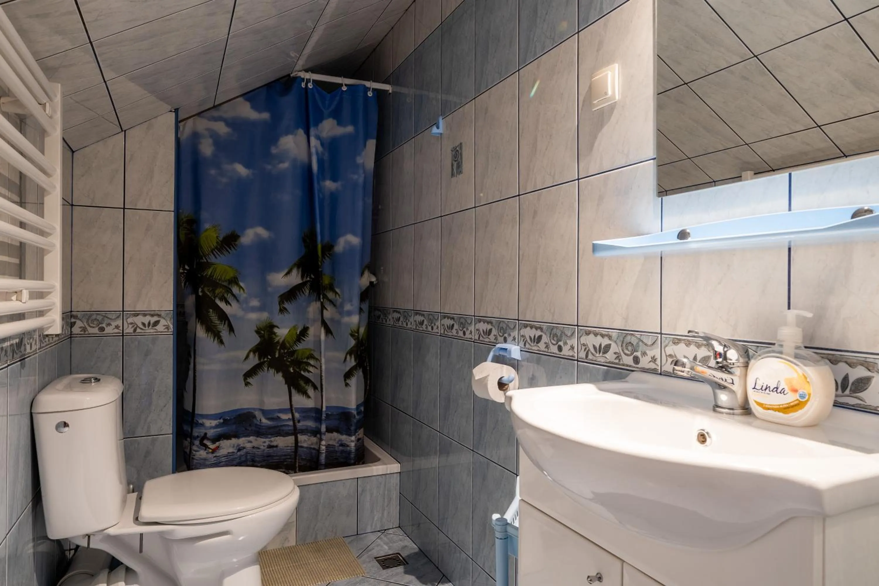 Shower in Willa Majerczyk