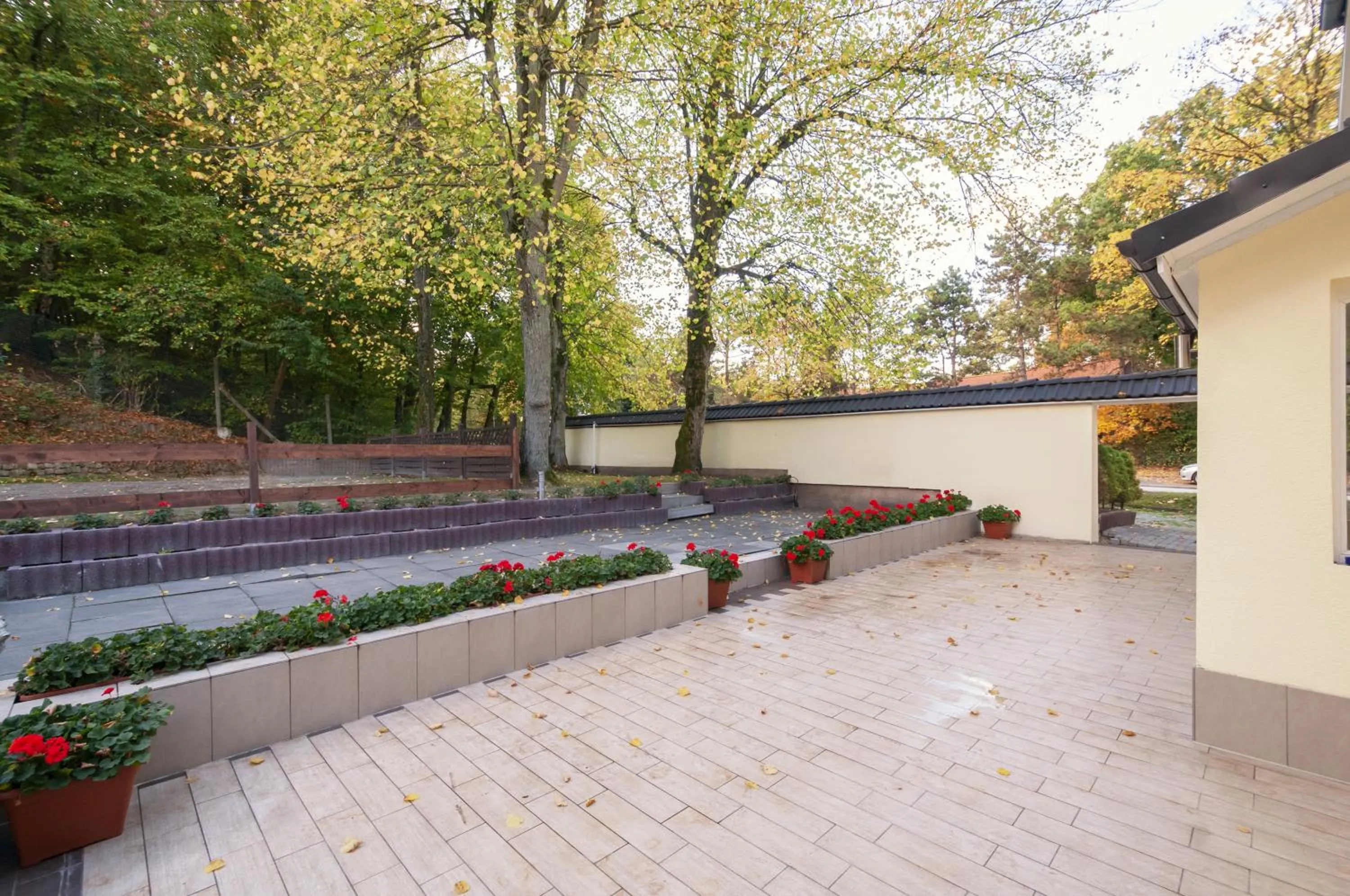 Garden in Hotel Grüne Tanne
