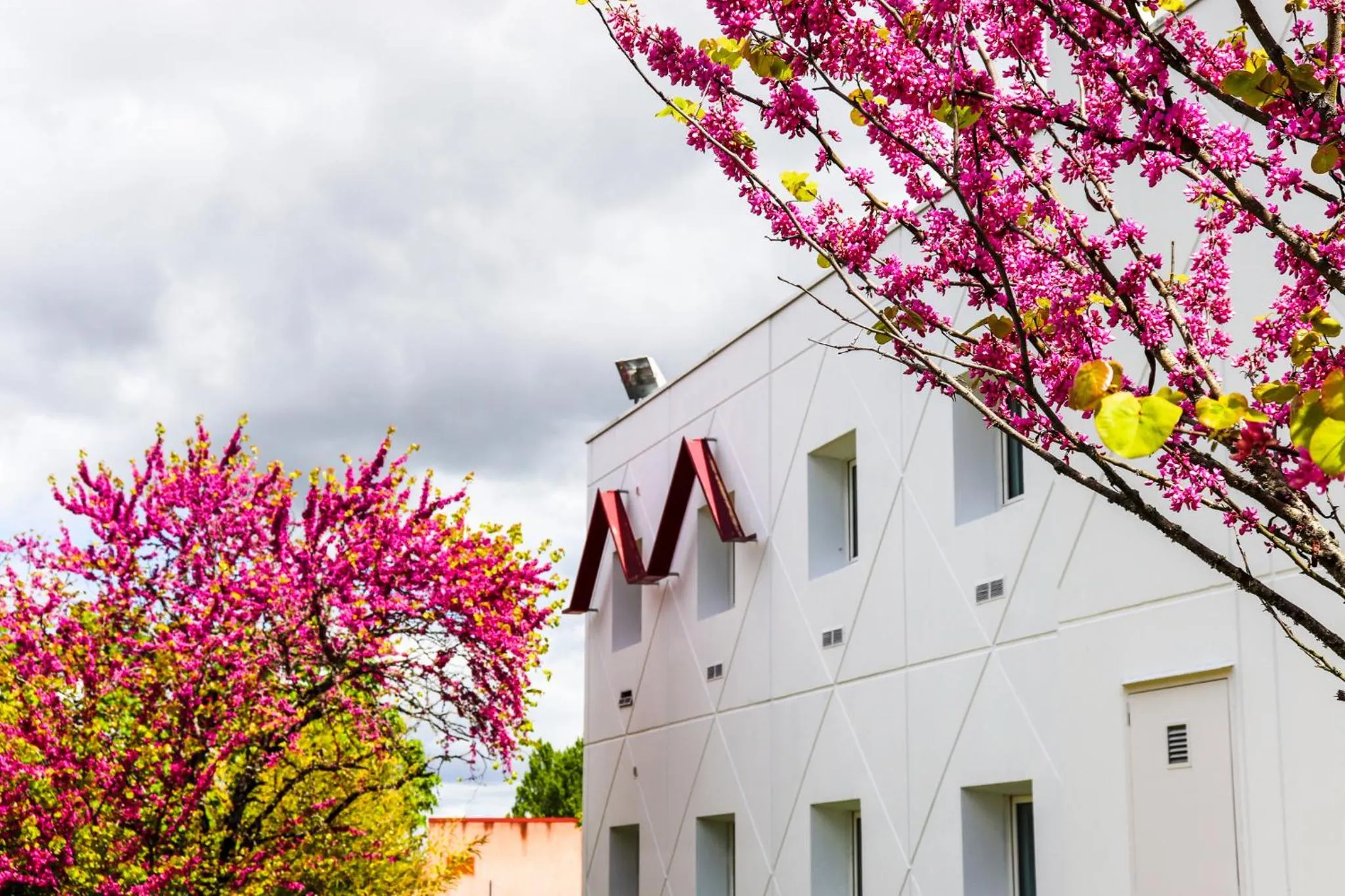 Garden in Hoteleco Sud Agen Autoroute
