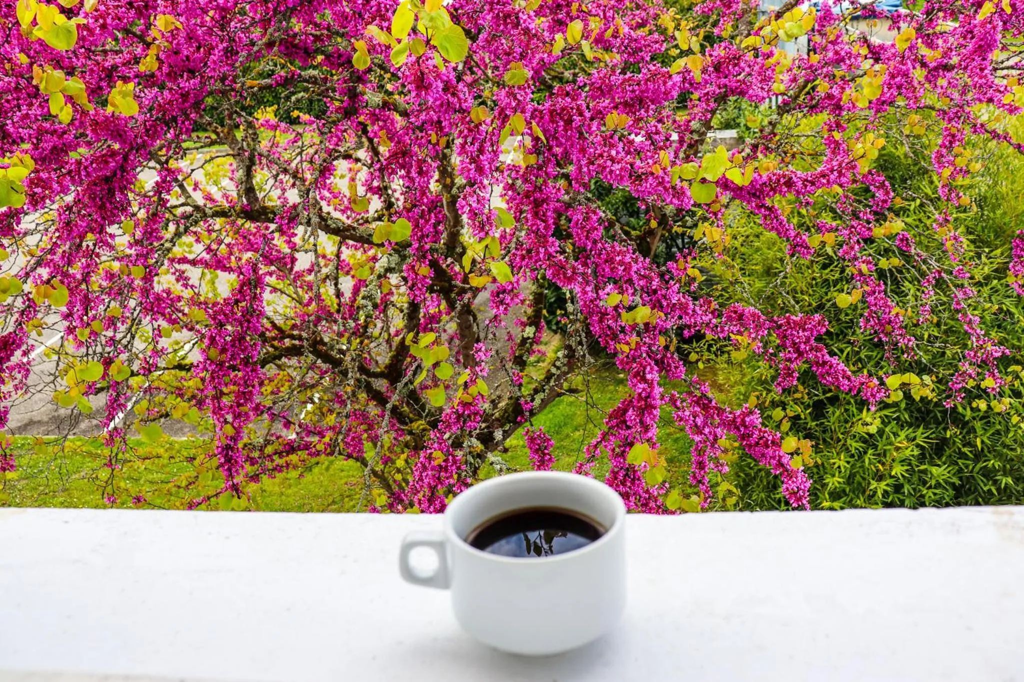 Garden view in Hoteleco Sud Agen Autoroute