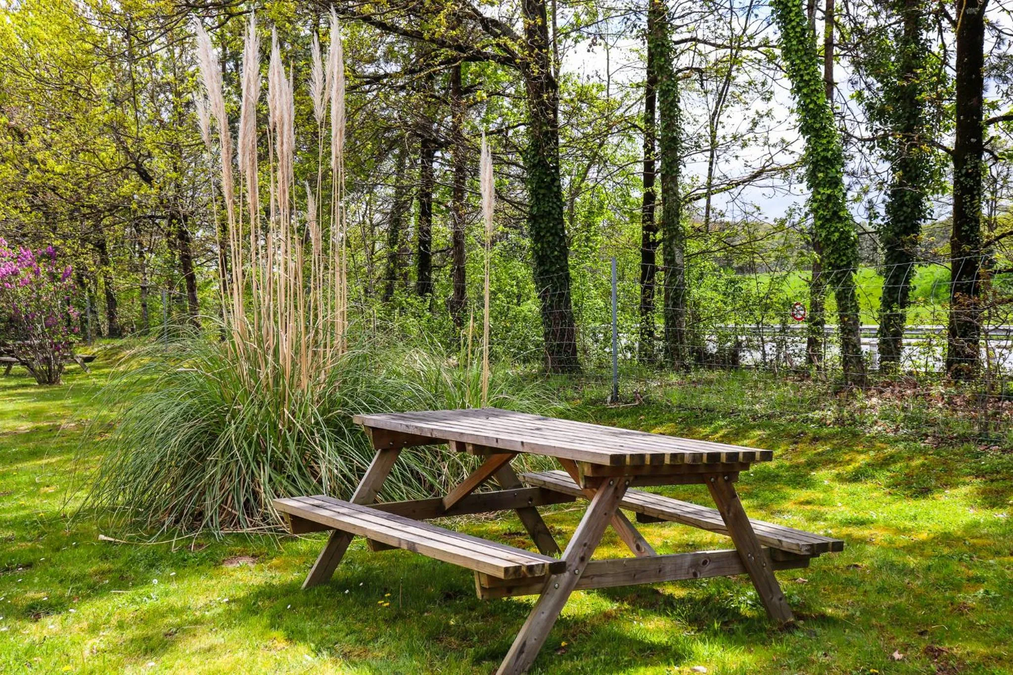 Garden in Hoteleco Sud Agen Autoroute