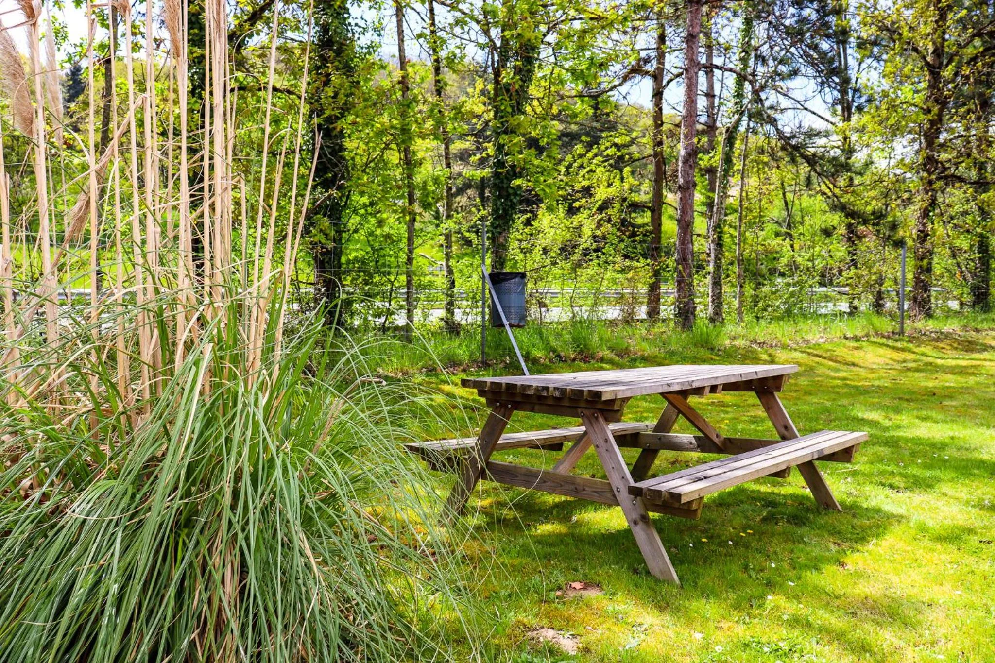 Garden in Hoteleco Sud Agen Autoroute