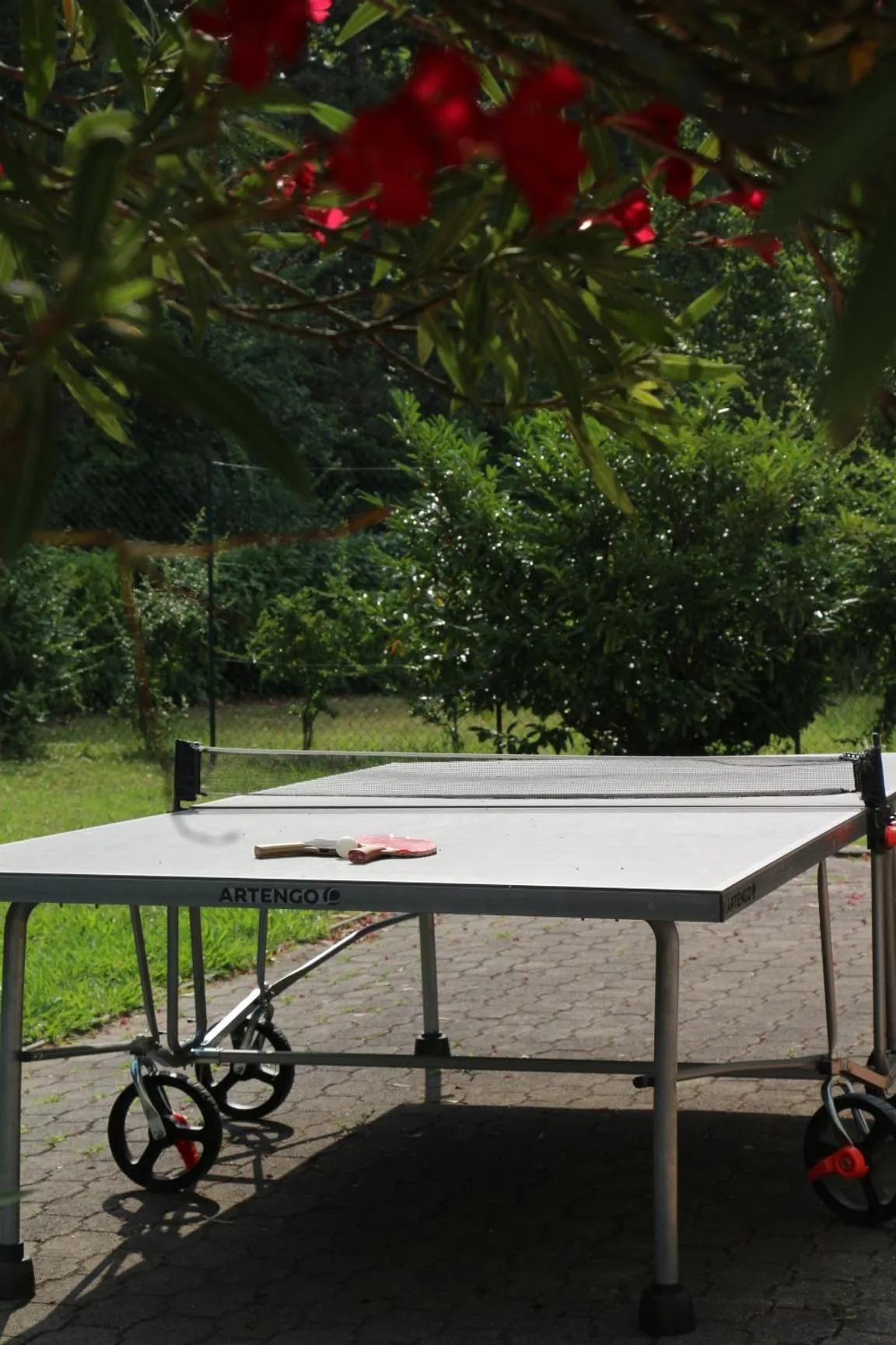 Garden in Ibis Budget Agen