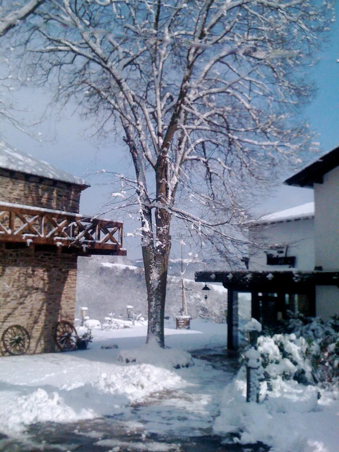 Property building in Berghotel Wintersberg