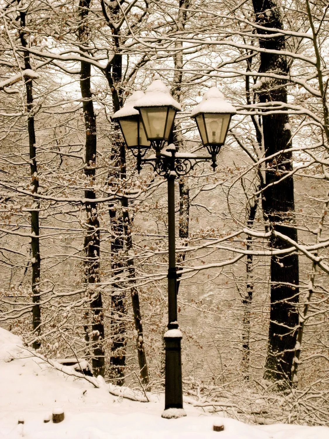 Other in Berghotel Wintersberg