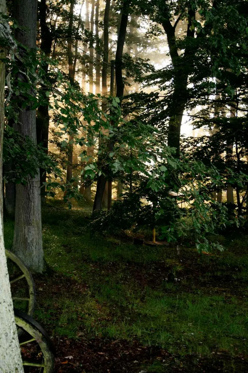 Natural landscape in Berghotel Wintersberg