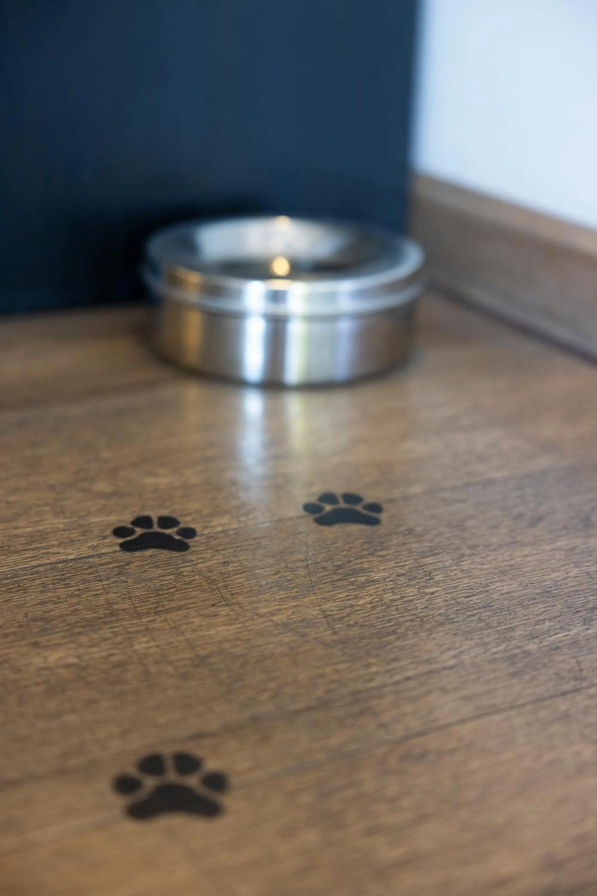 Animals in Good Morning+ Malmö