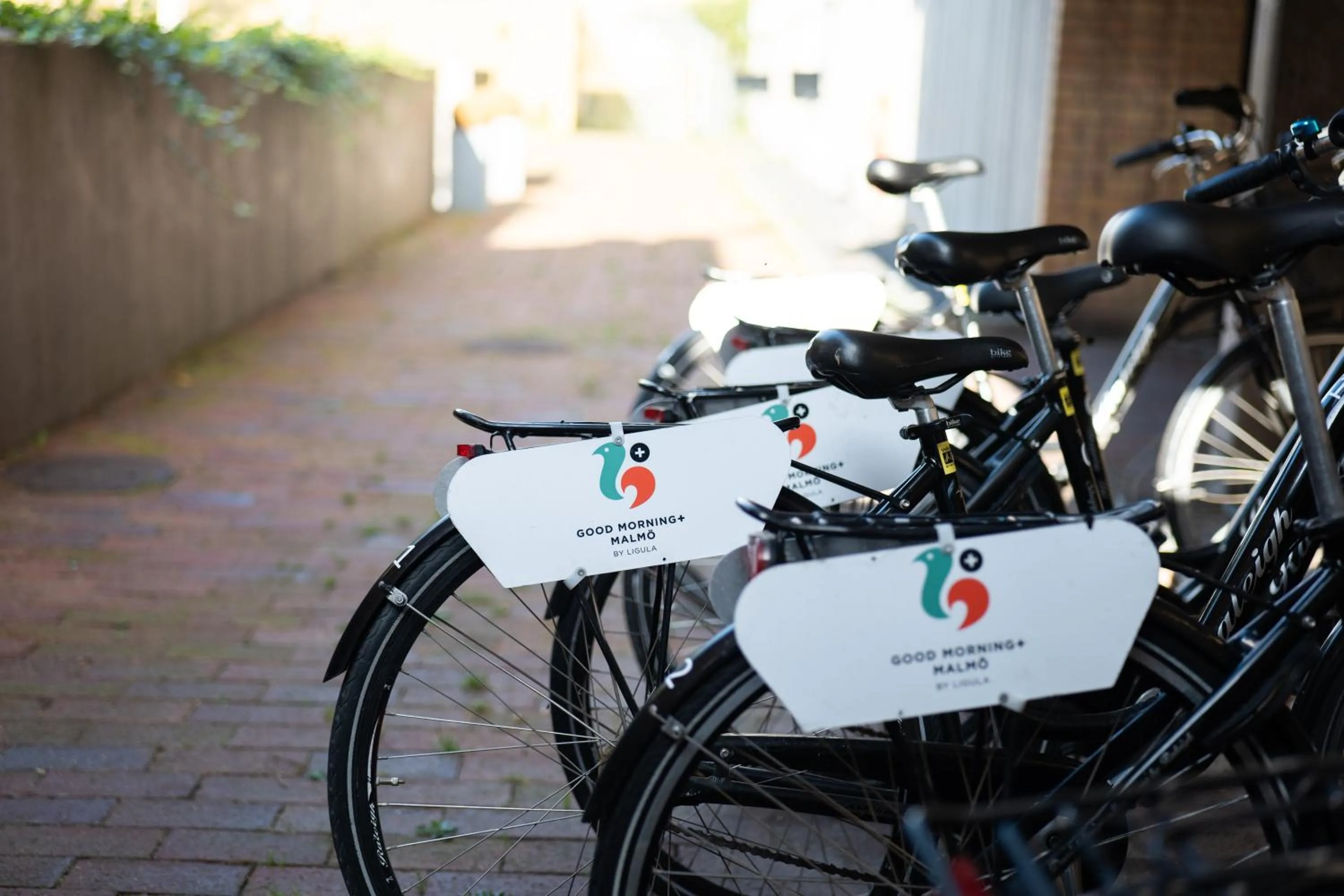 Spring in Good Morning+ Malmö