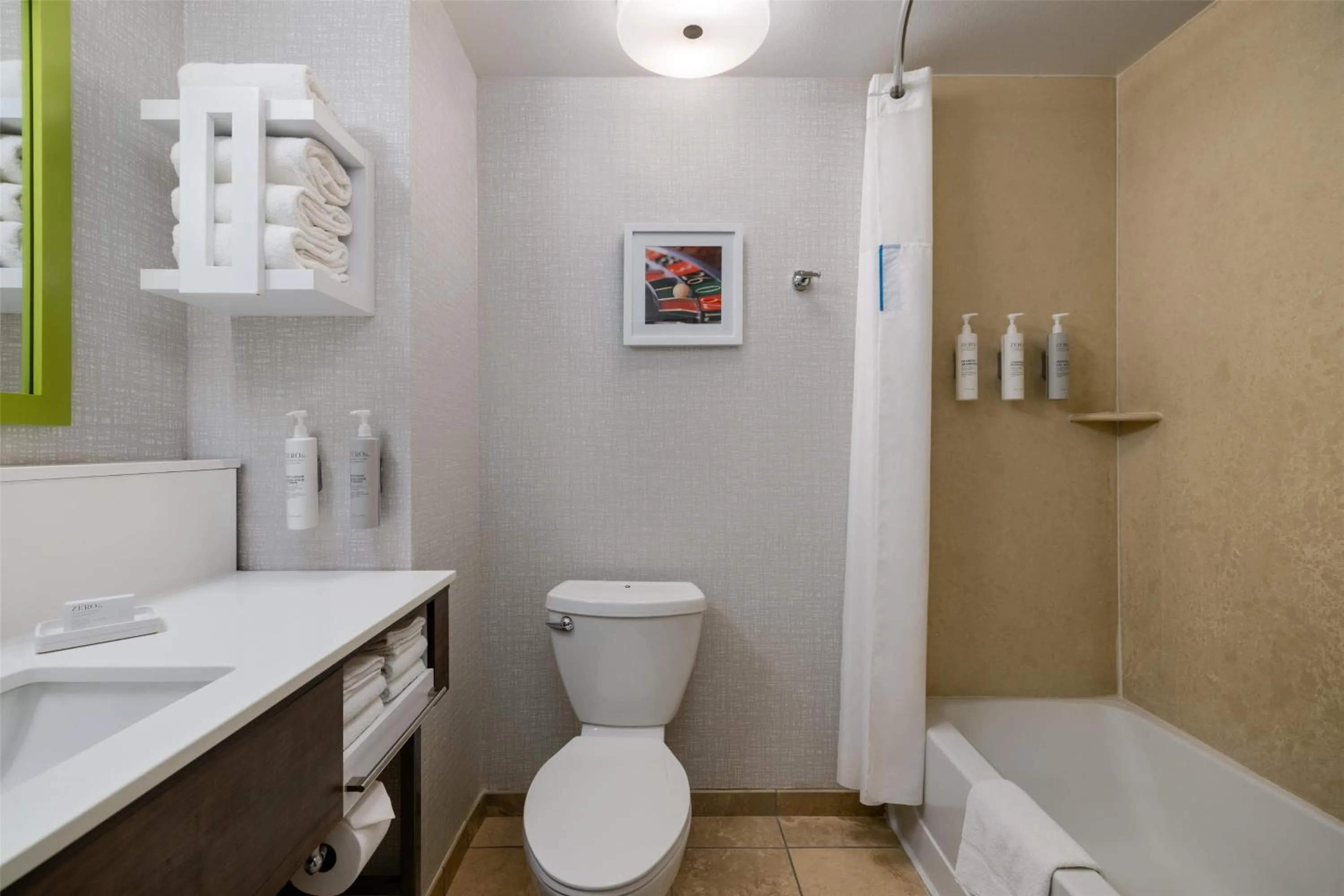 Bathroom in Hampton Inn Las Vegas/North Speedway