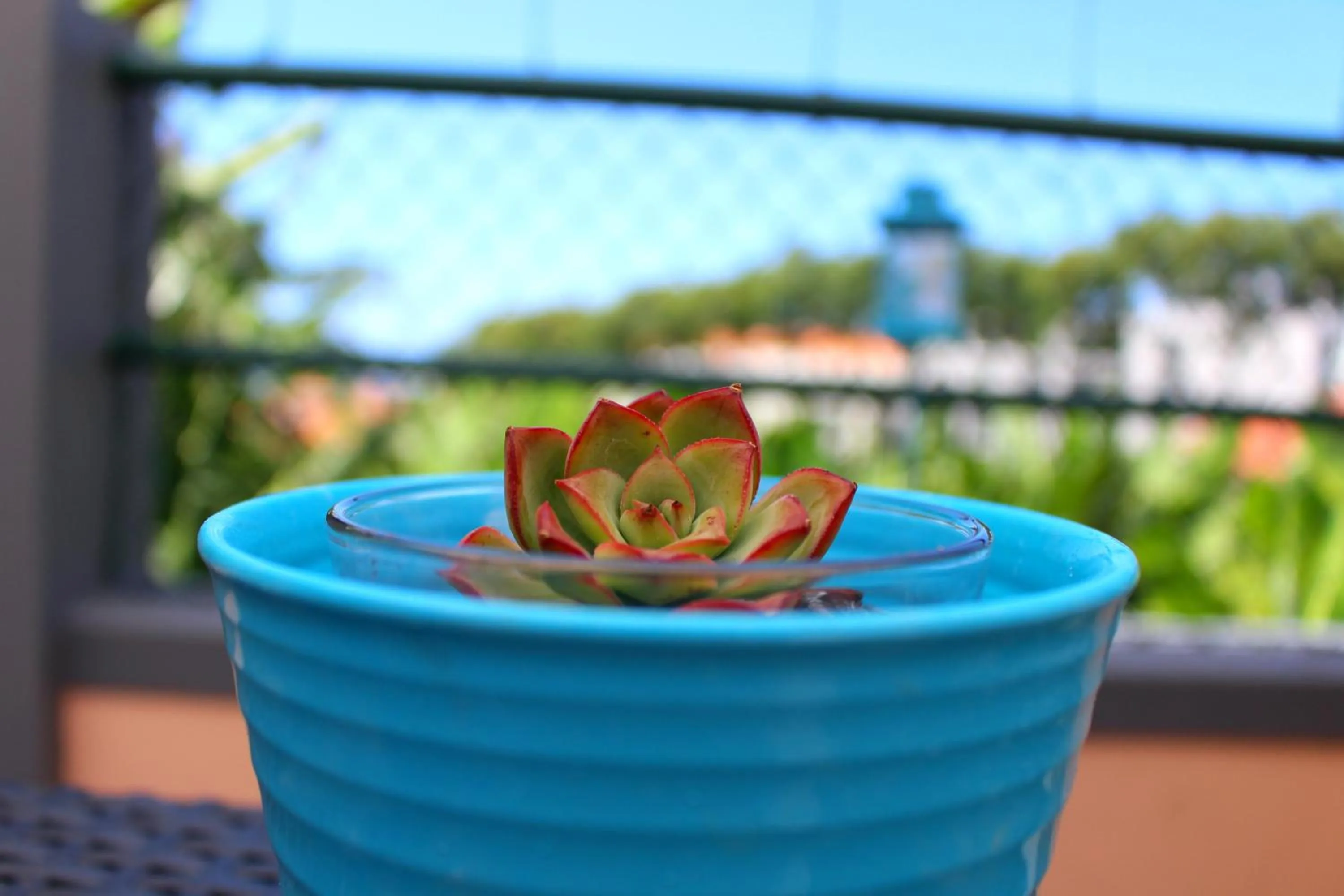 Decorative detail in FX Pena