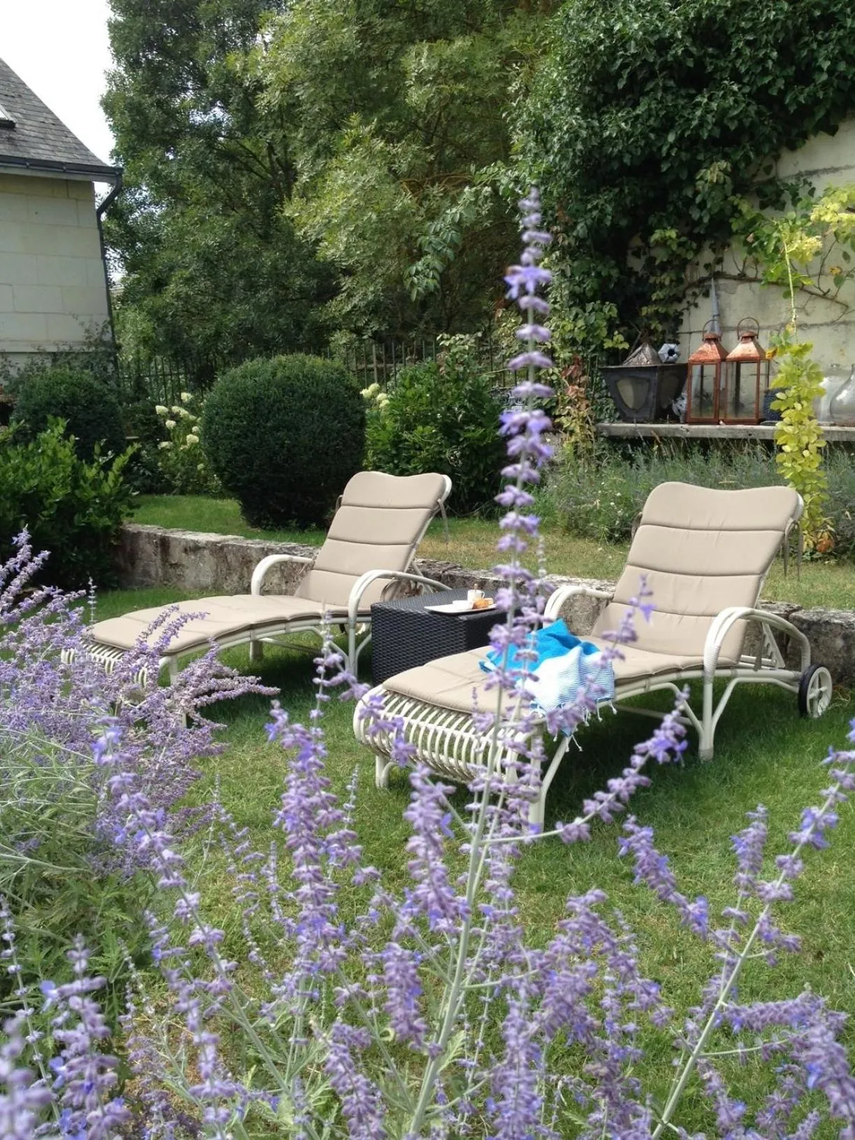Garden view in La Marine de Loire Hôtel & Spa