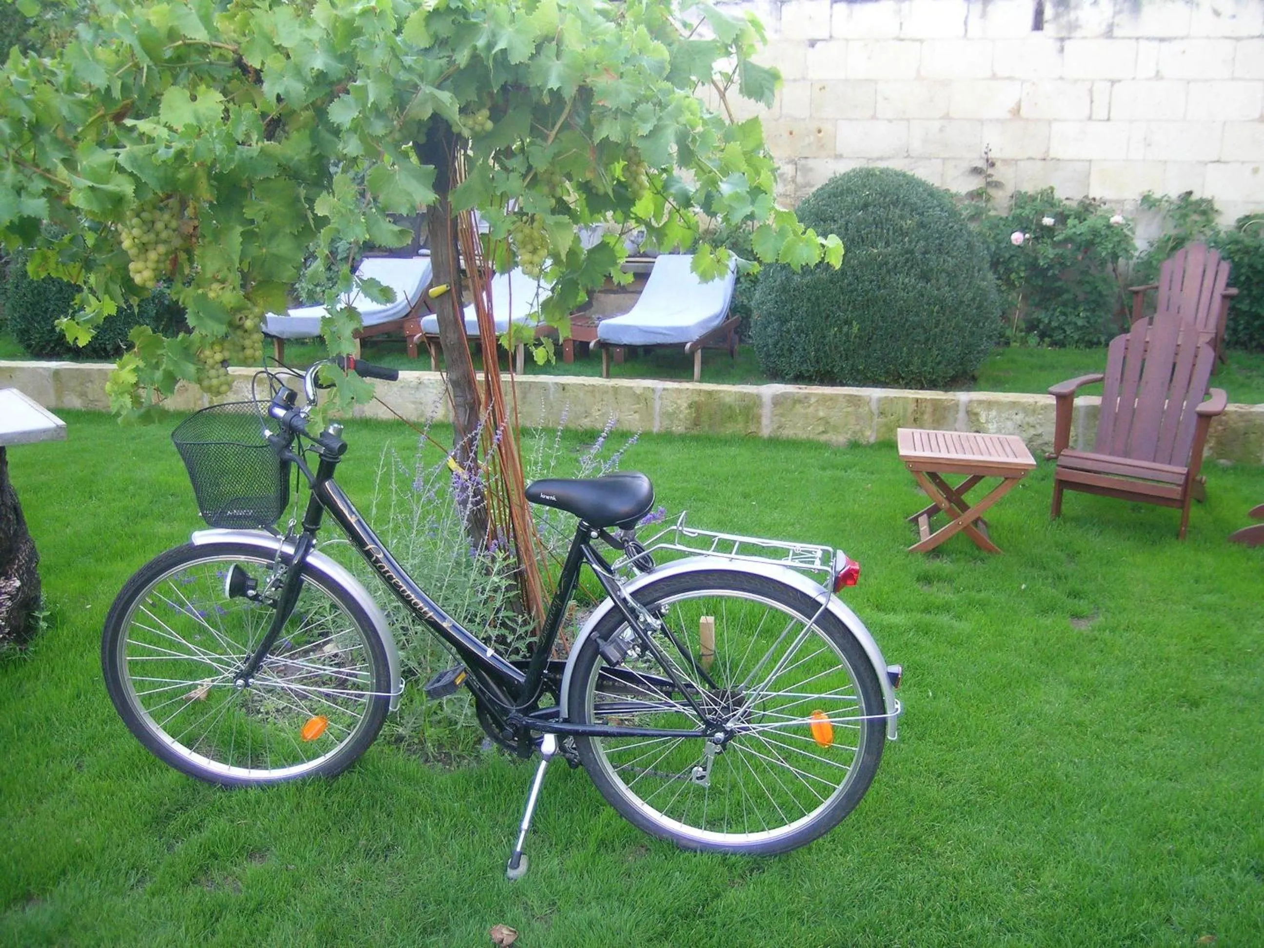 Activities in La Marine de Loire Hôtel & Spa