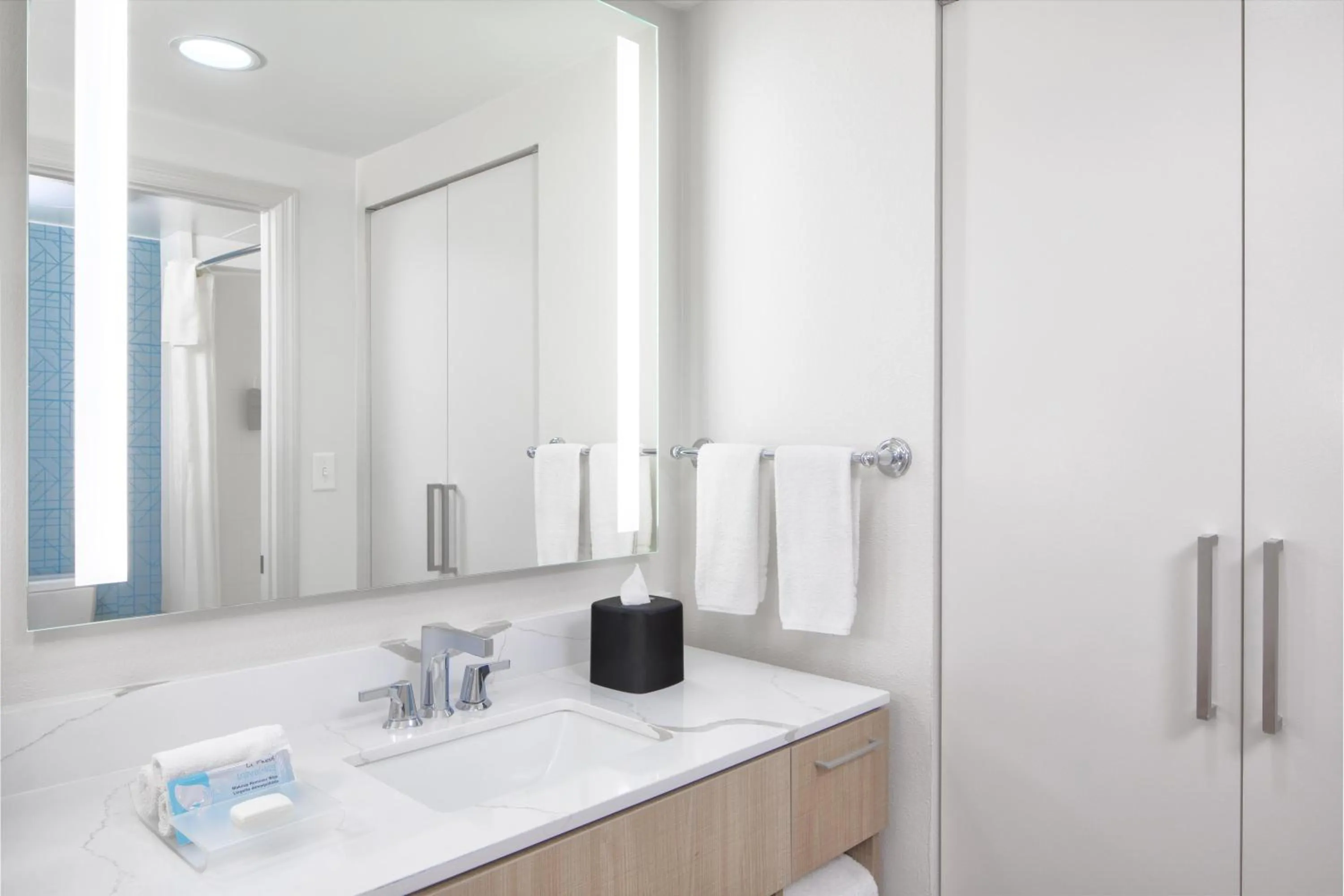 Bathroom in Homewood Suites by Hilton Lake Buena Vista Orlando - Newly Renovated!