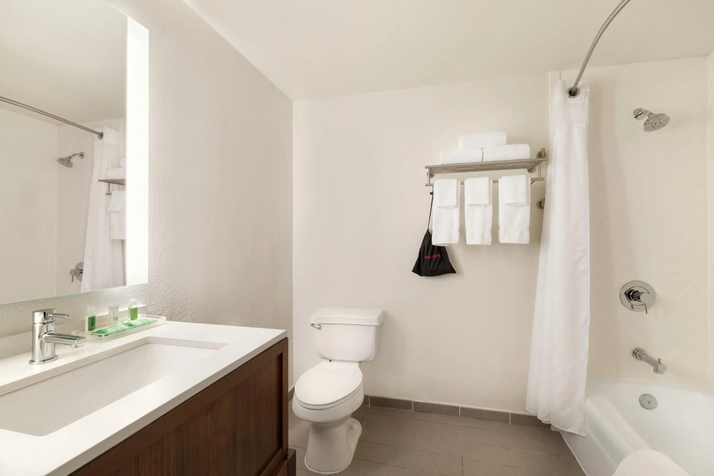 Bathroom in Holiday Inn Houston Intercontinental Airport by IHG