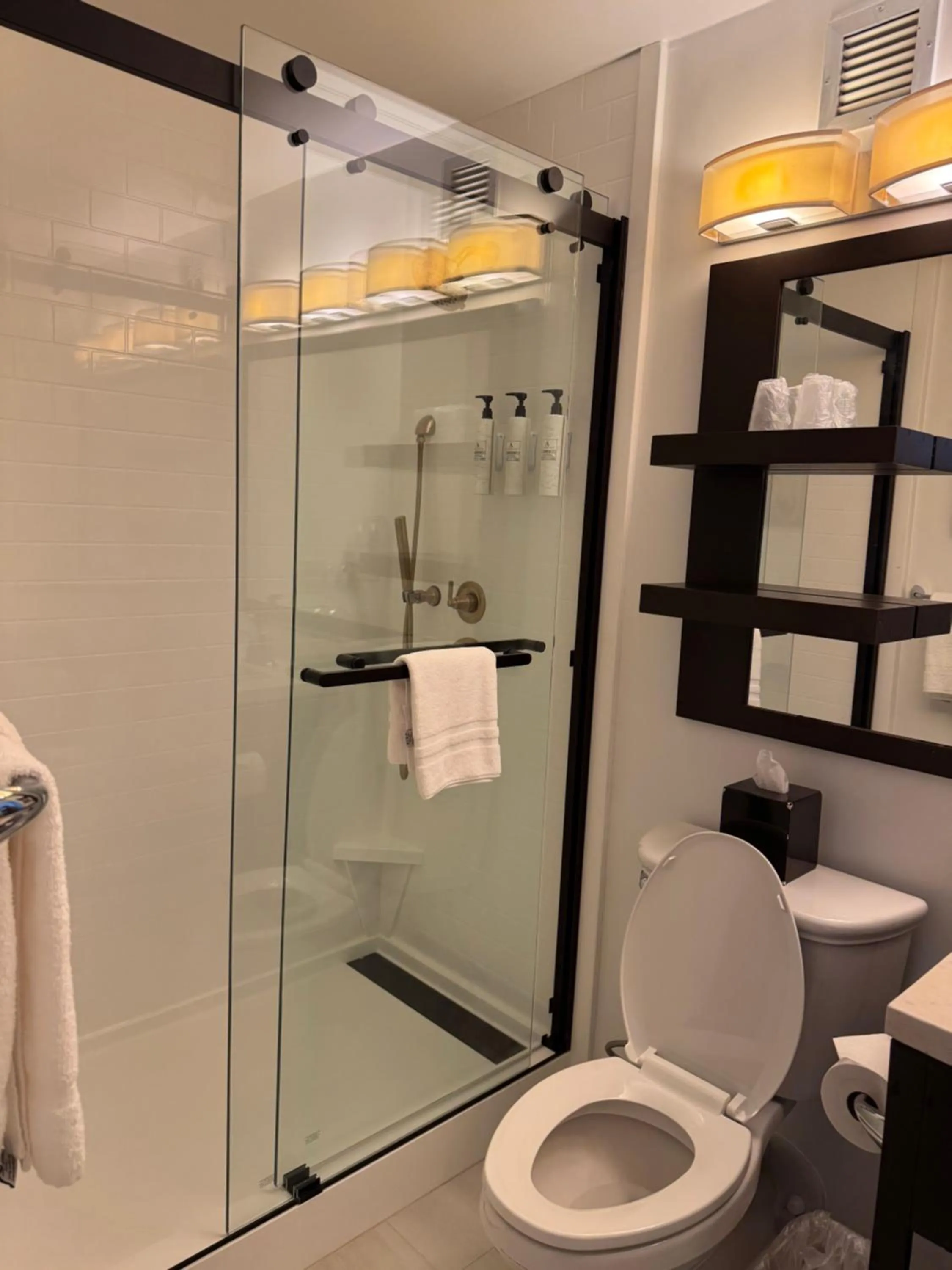 Shower in Sonesta Atlanta Airport North