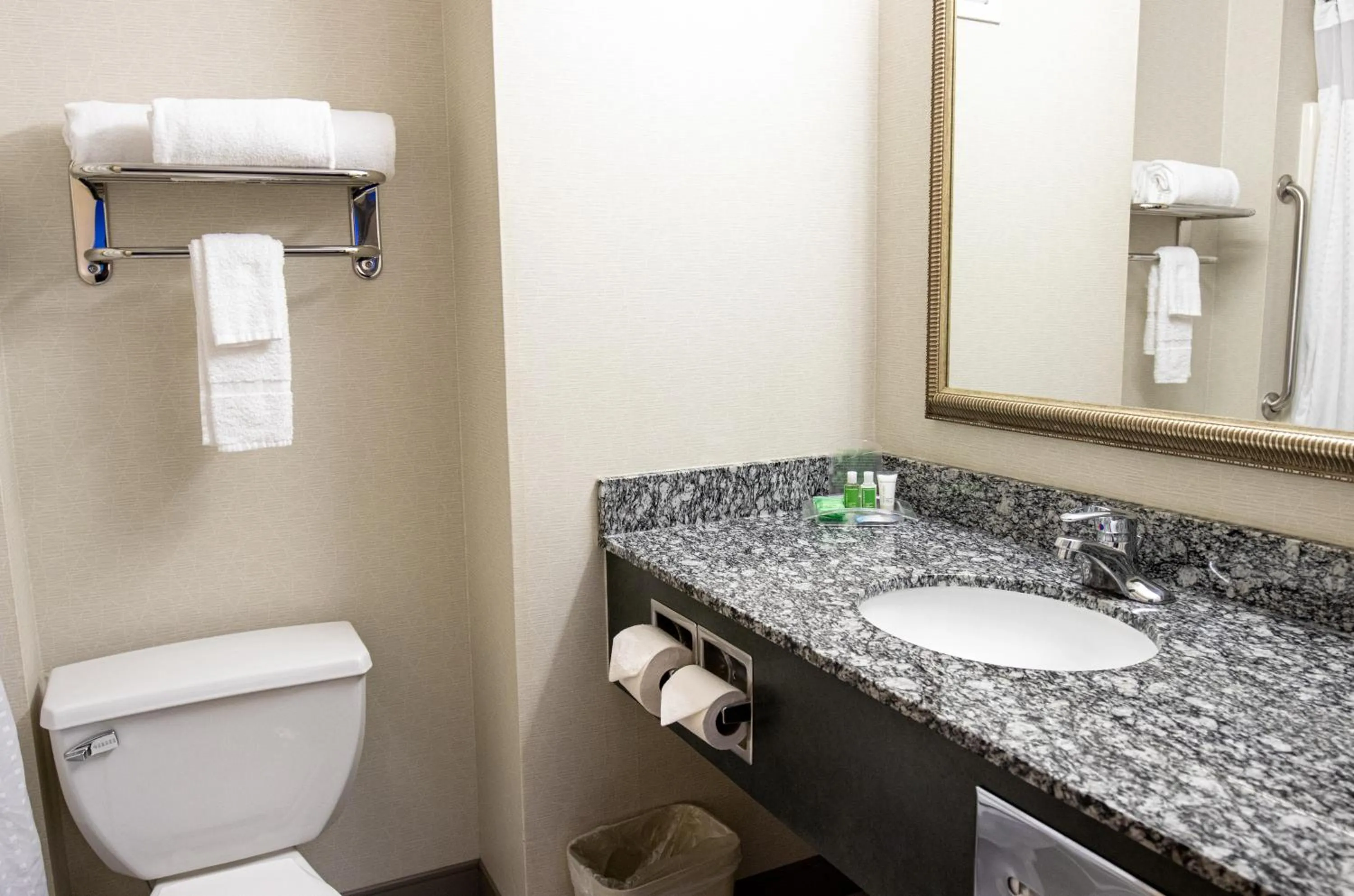 Bathroom in Holiday Inn Seattle DWTN Lake Union by IHG