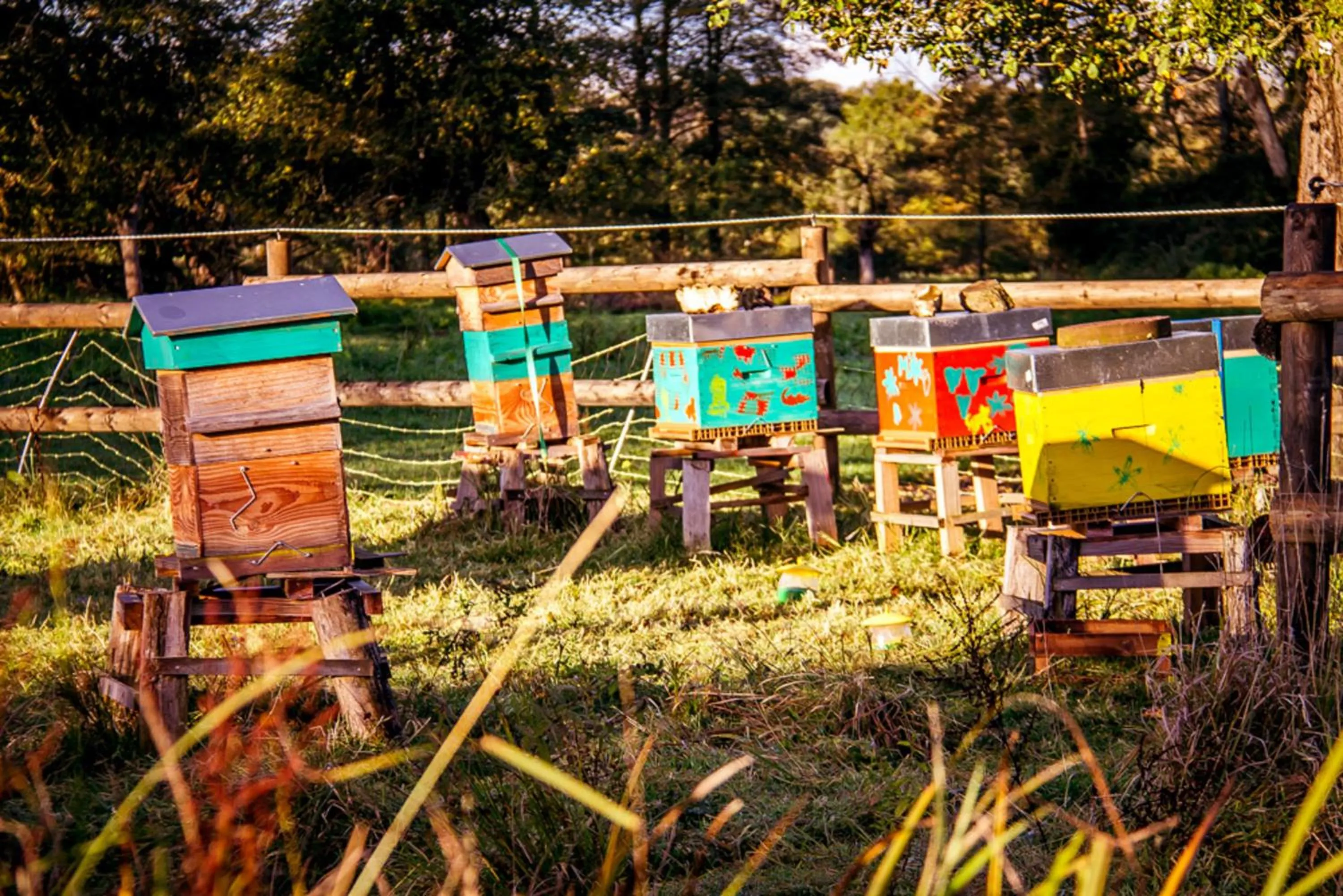 Garden in Le Pré Doré