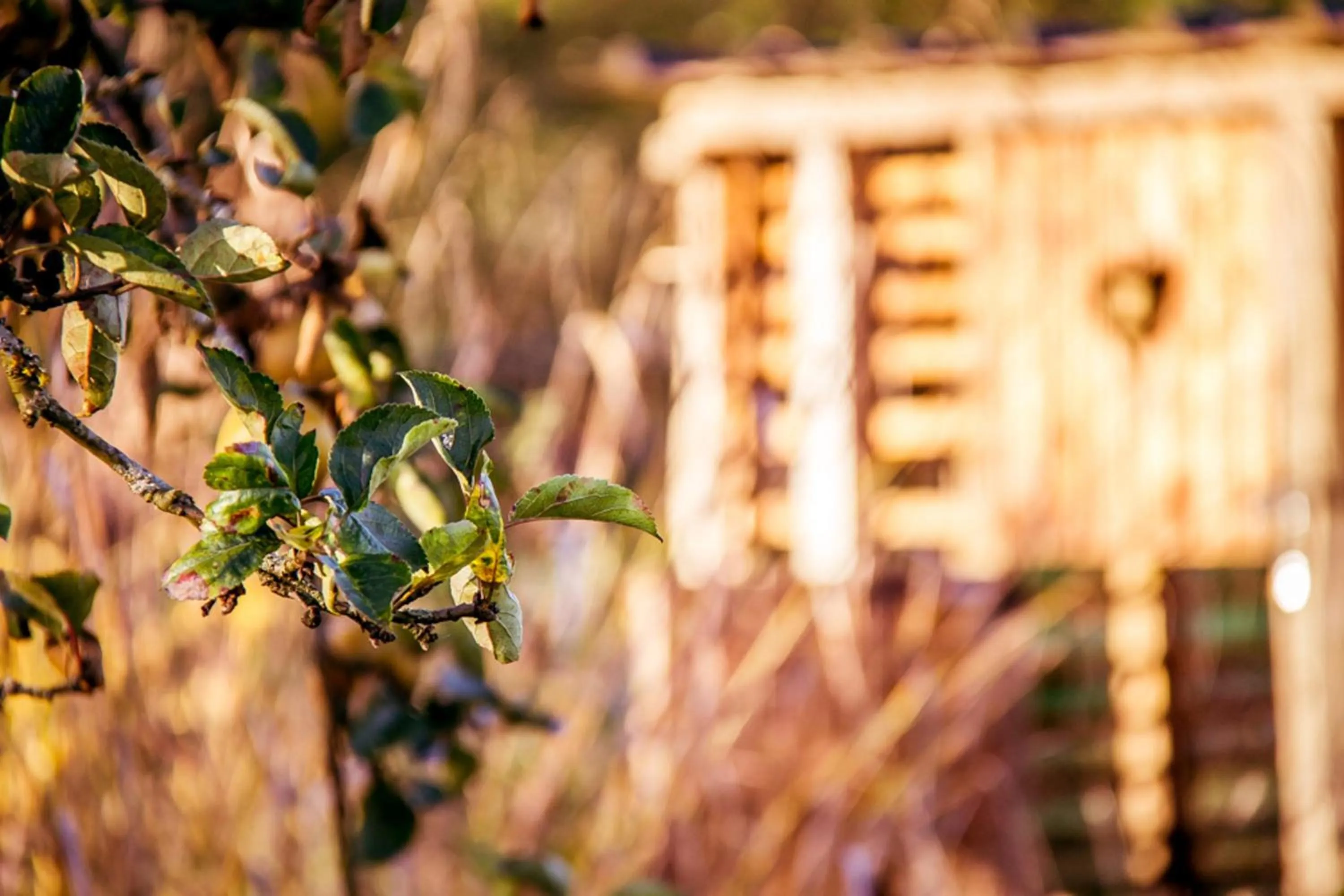 Garden in Le Pré Doré