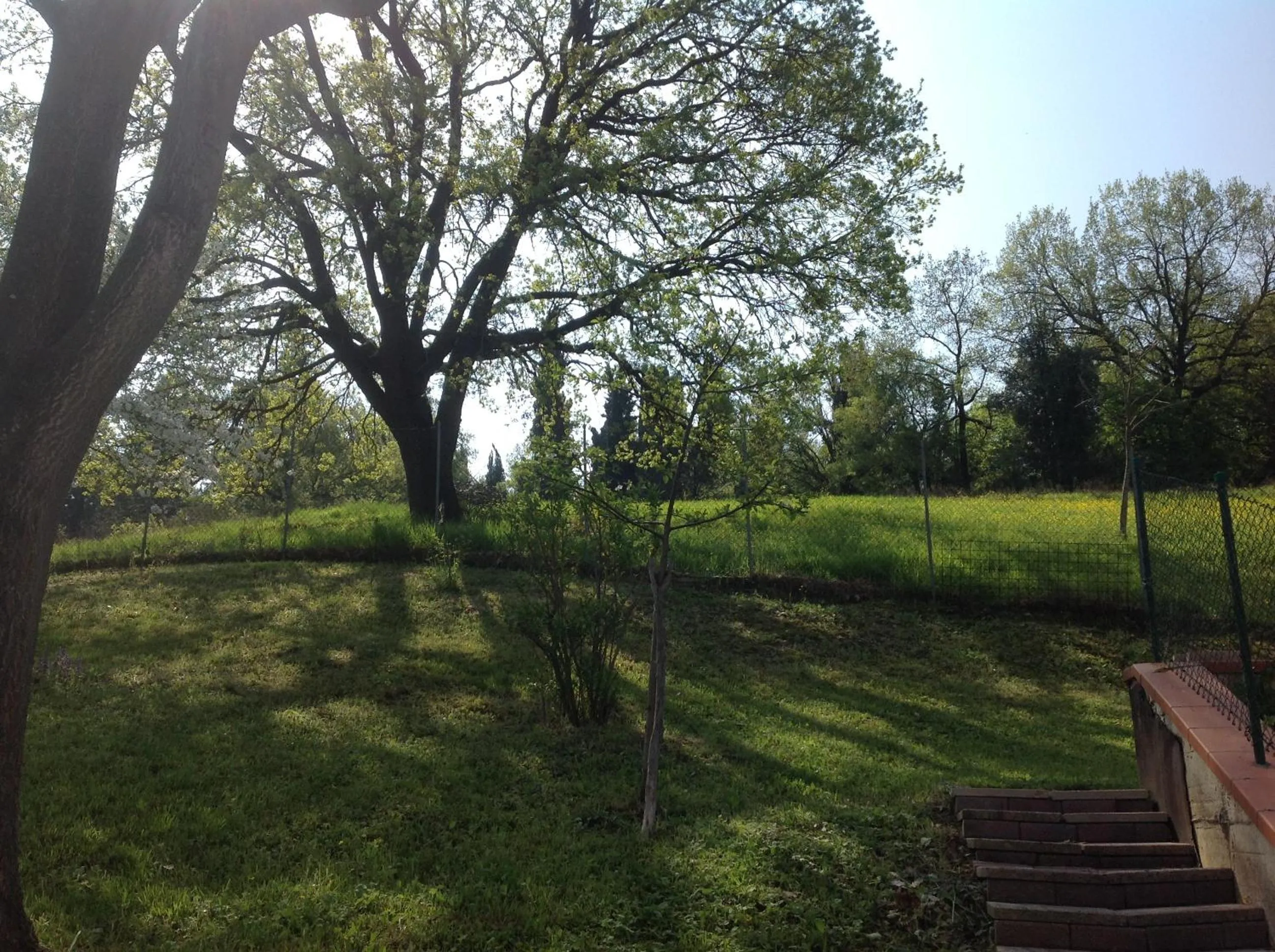 Garden view in B&B Smile