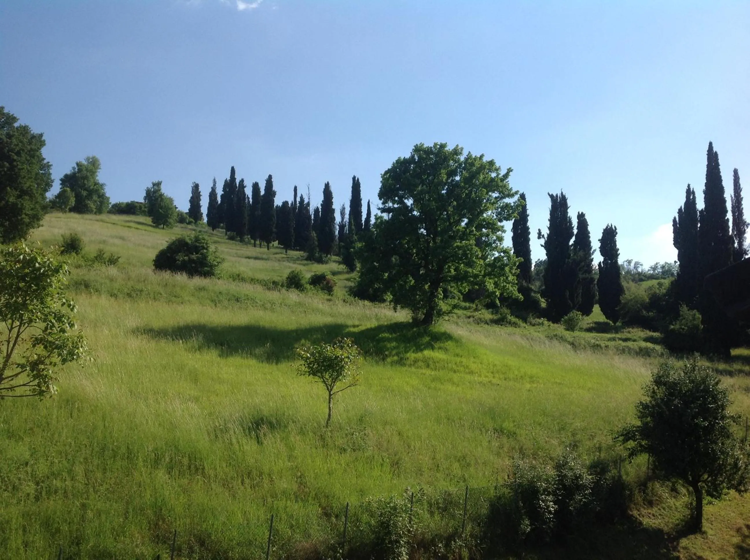 On site in B&B Smile