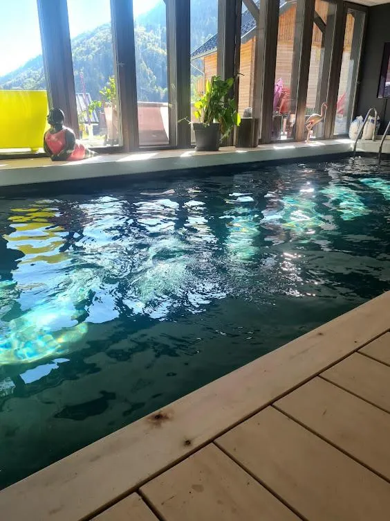 Swimming pool in Le Chalet Du Blanc Spa yoga