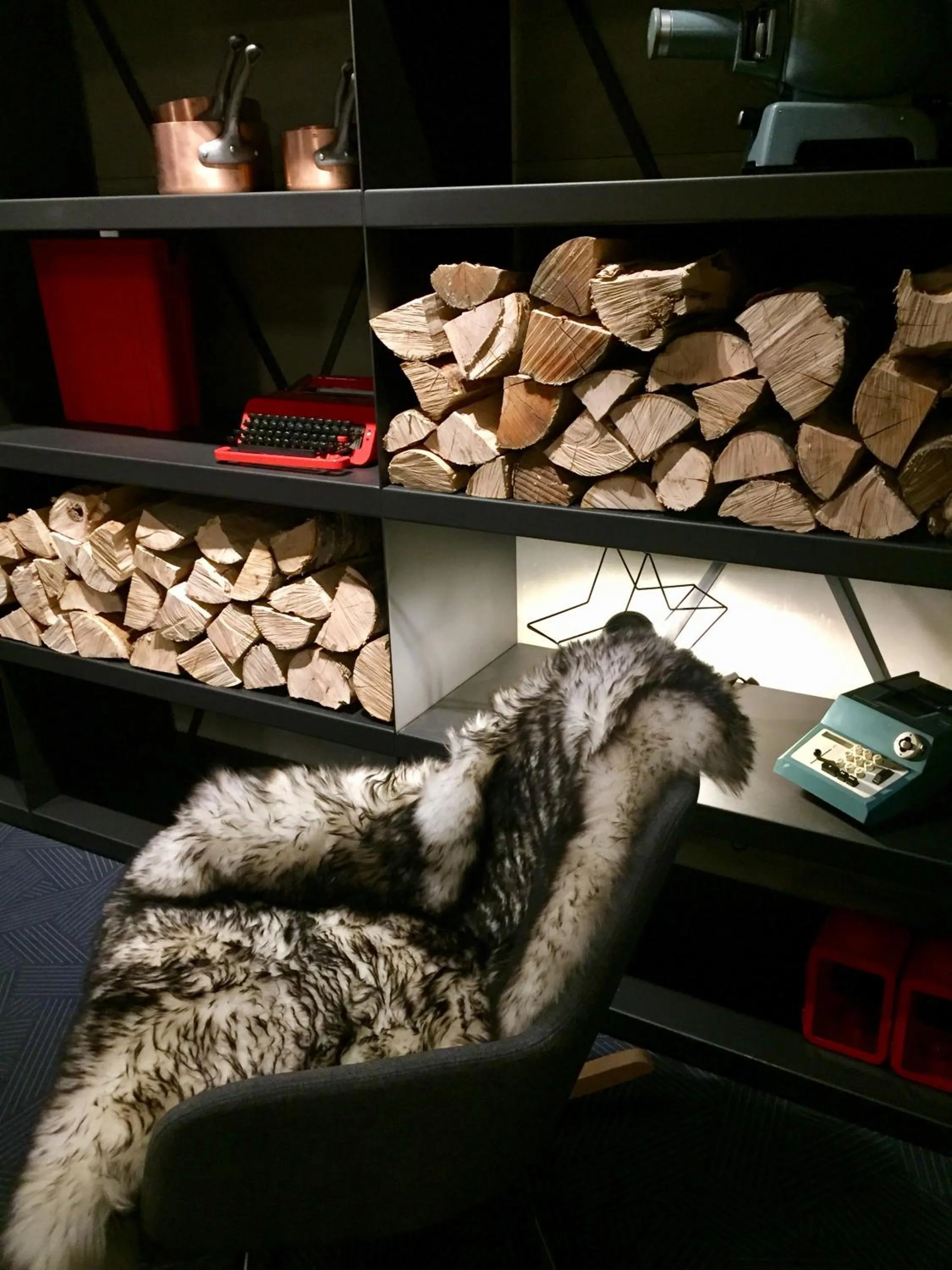 Library in Hôtel 16 | 150 Montagne & Spa Nuxe