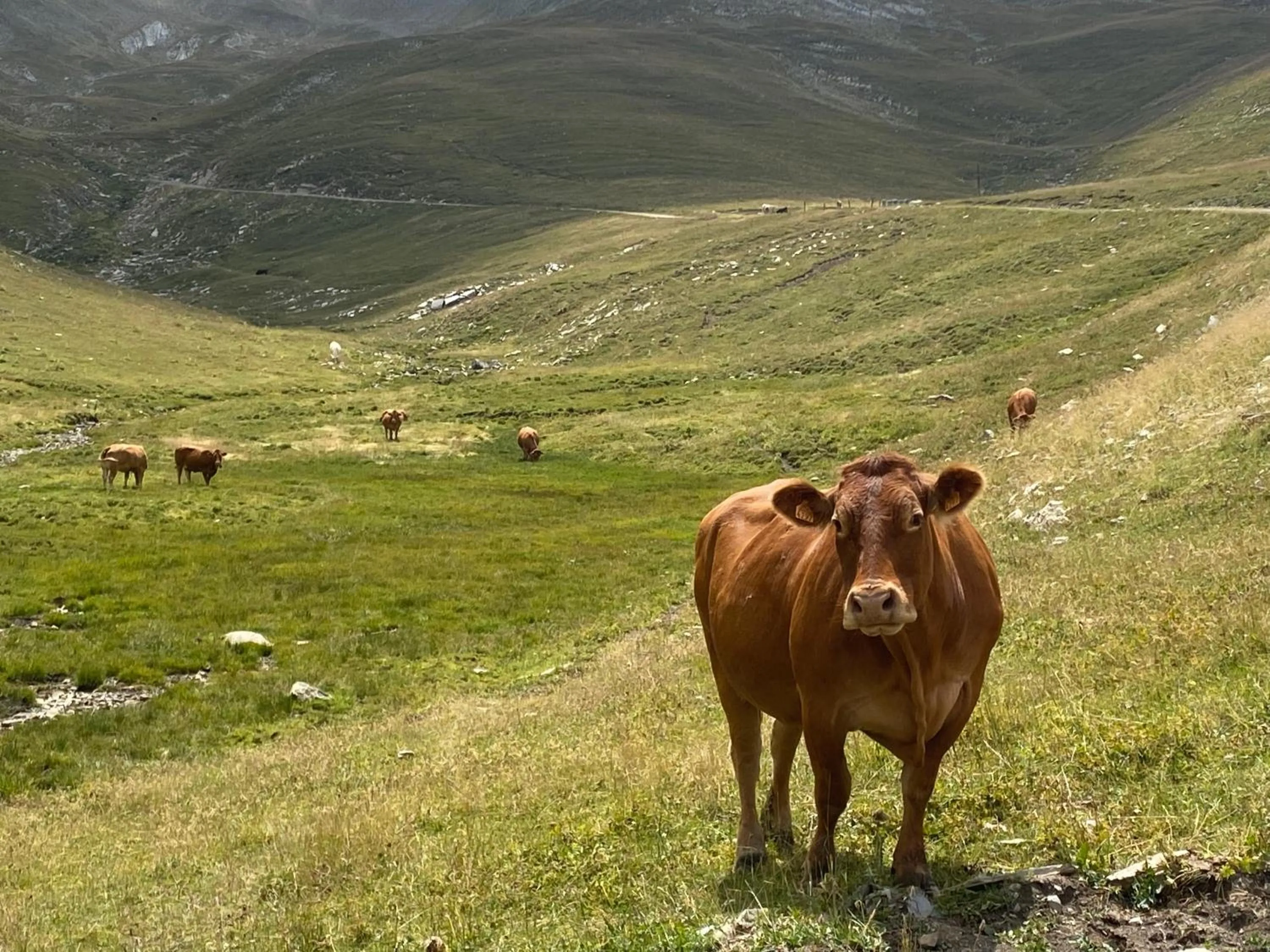 Off site in Hôtel 16 | 150 Montagne & Spa Nuxe