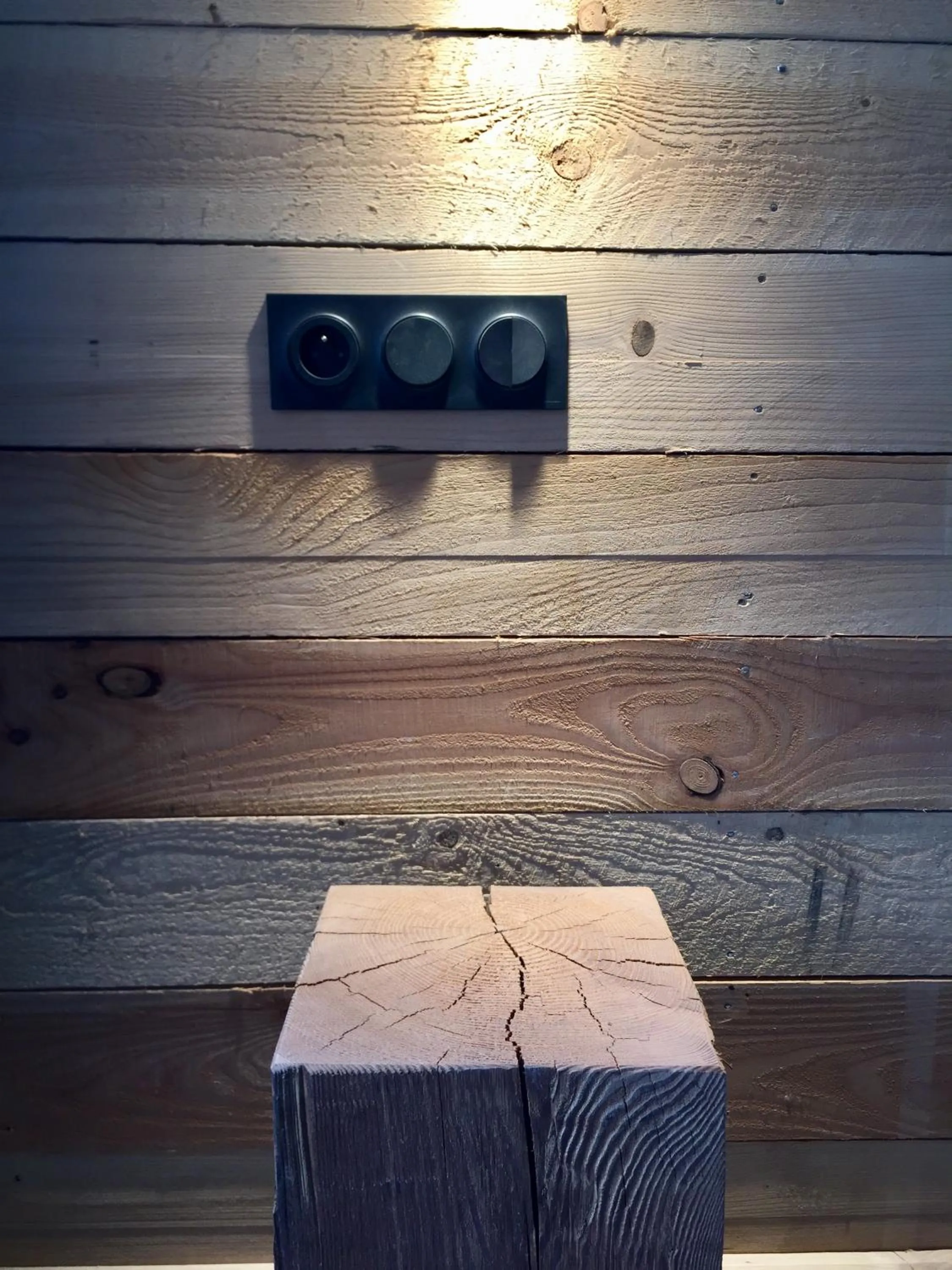 Decorative detail in Hôtel 16 | 150 Montagne & Spa Nuxe