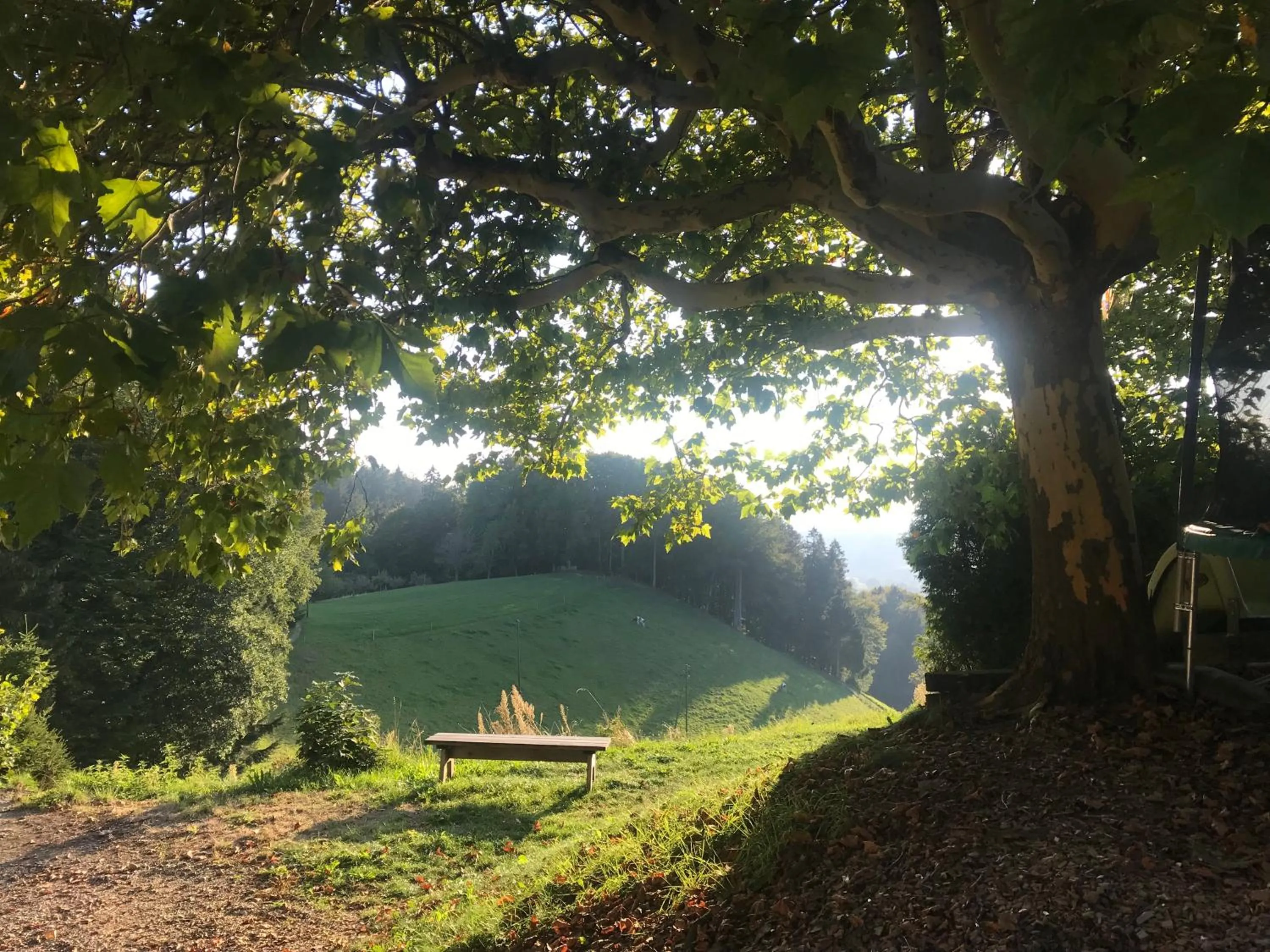 Natural landscape in Landgasthof und Seminarhotel Lueg