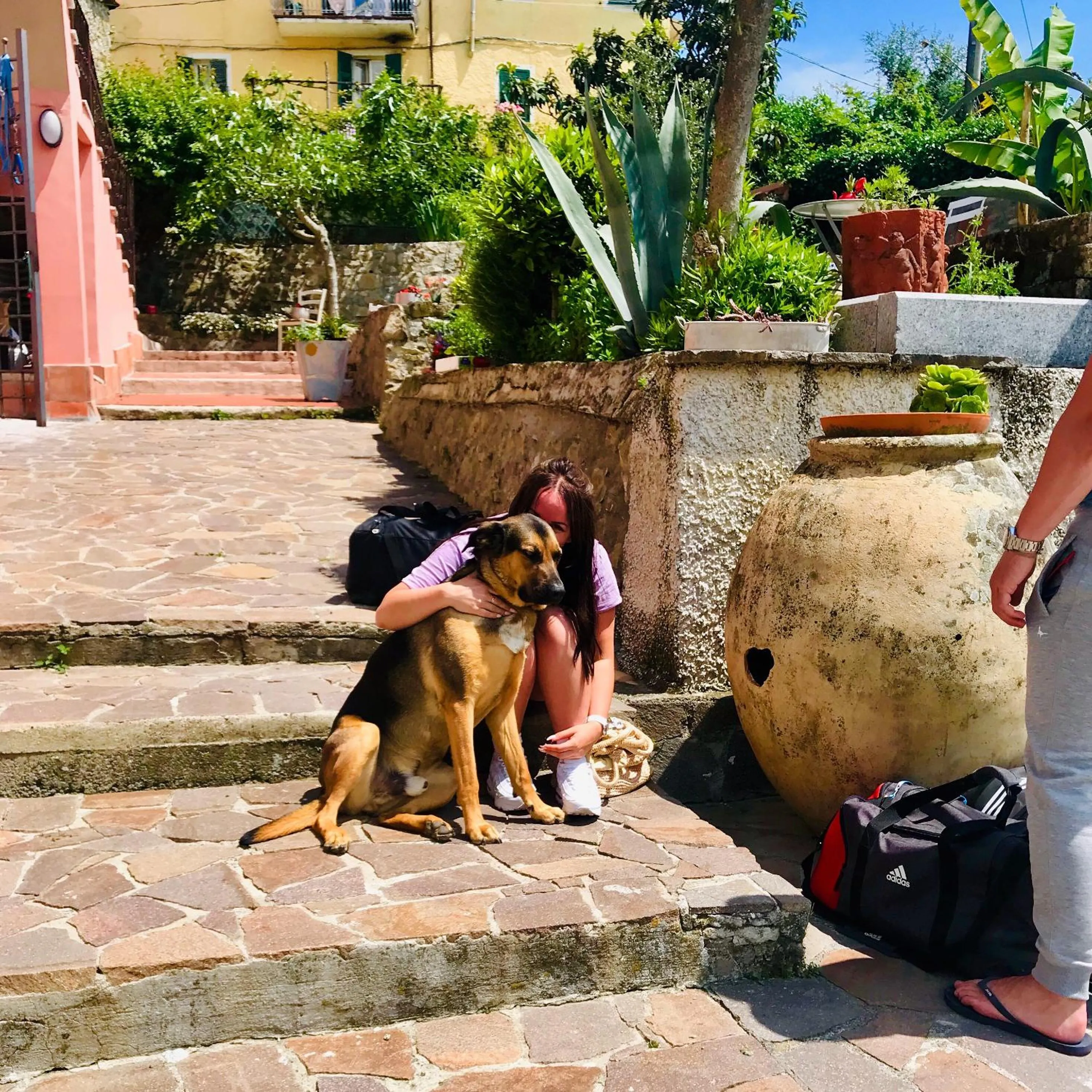 Garden in B.E.A. Maison