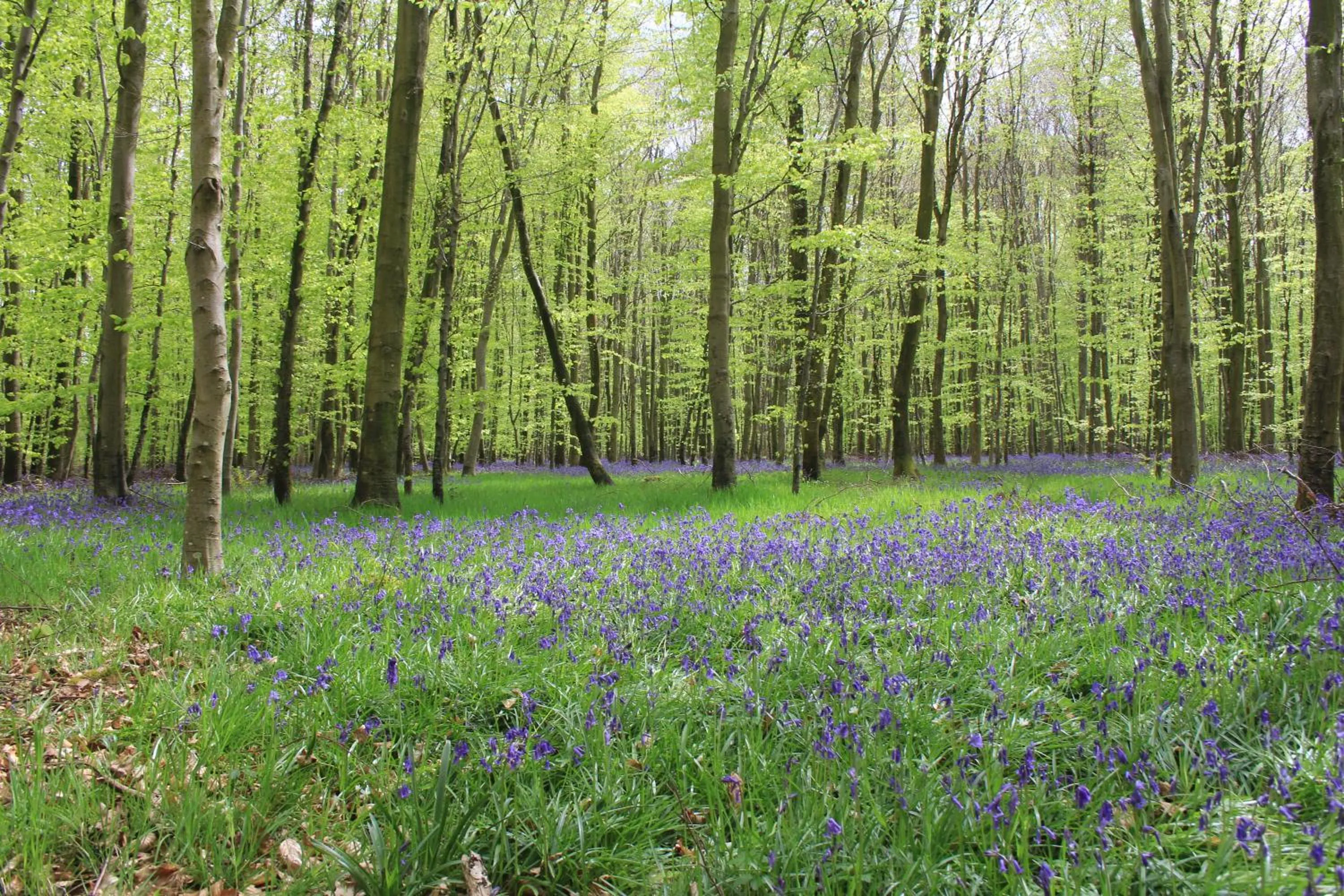 Nearby landmark in Chambre D'hotes Le Clos Fleuri